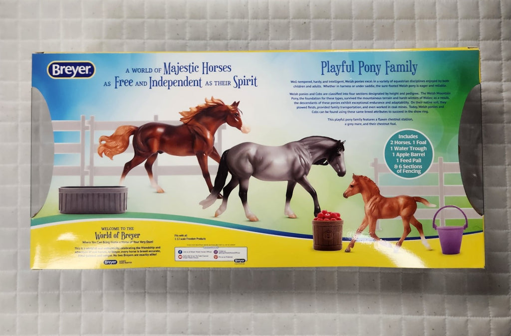 Playful Pony Horse Family