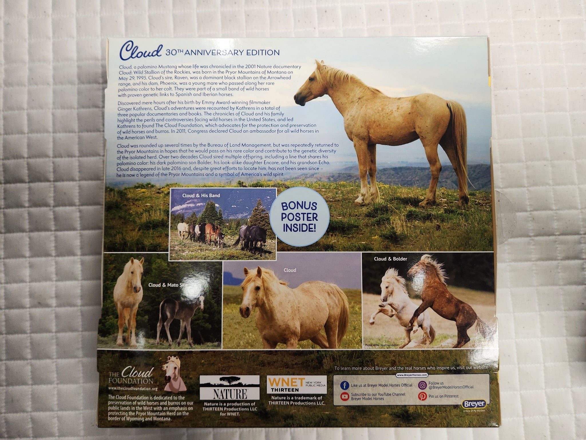 Cloud Wild Stallion 30th Anniversary