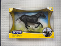 Manaos Polo Pony