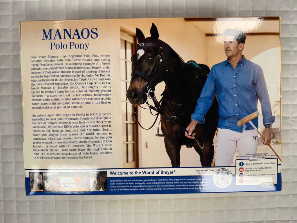 Manaos Polo Pony