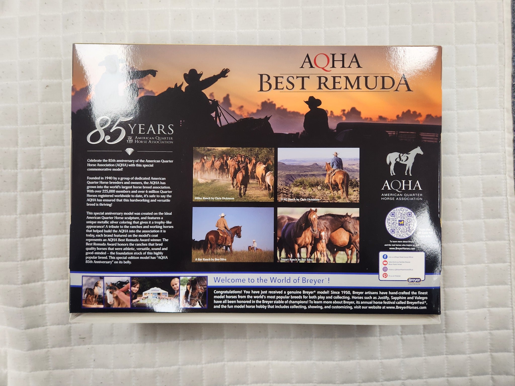 AQHA Best Remuda 85th Anniversary Model