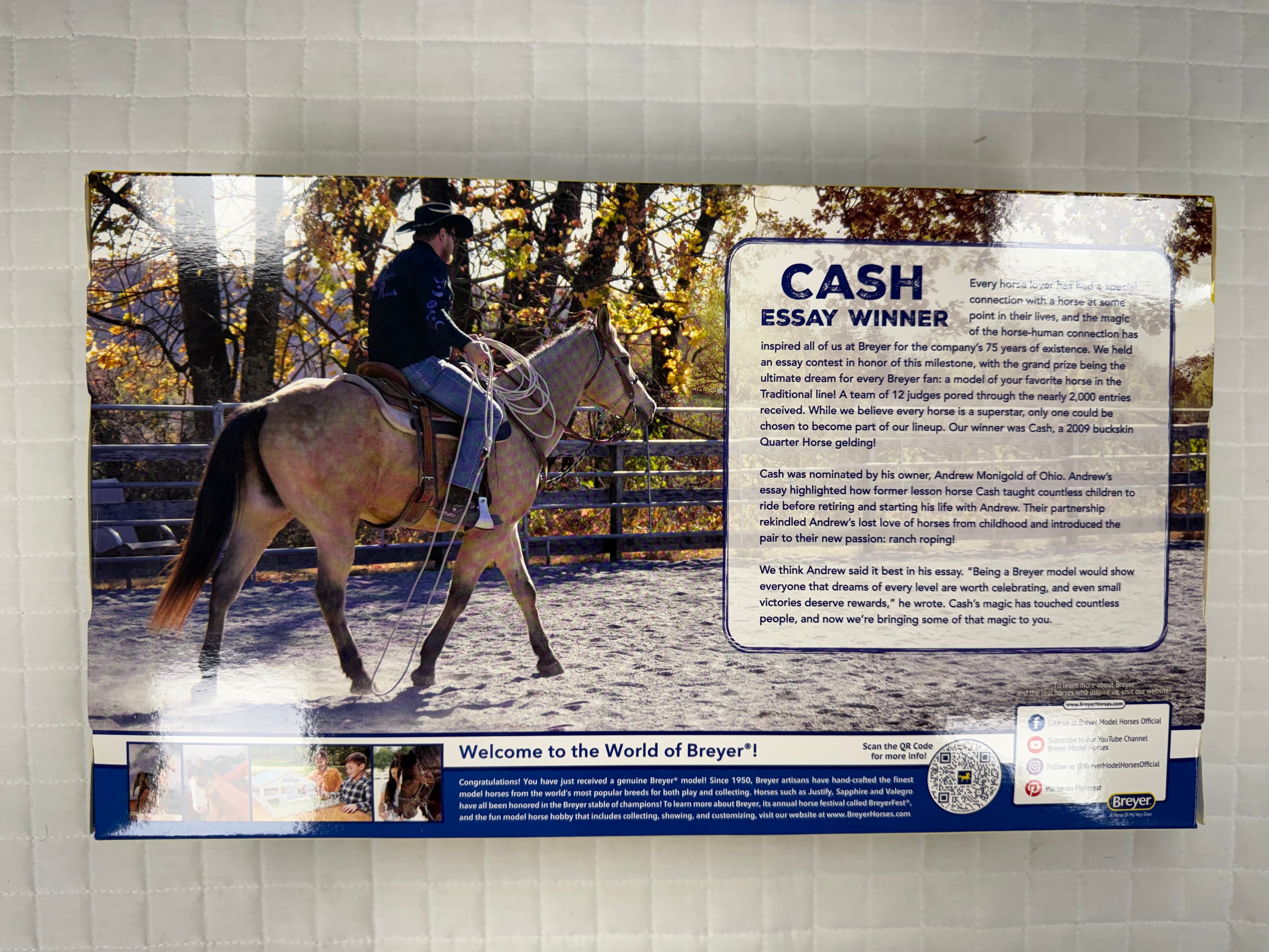 Cash Quarter Horse