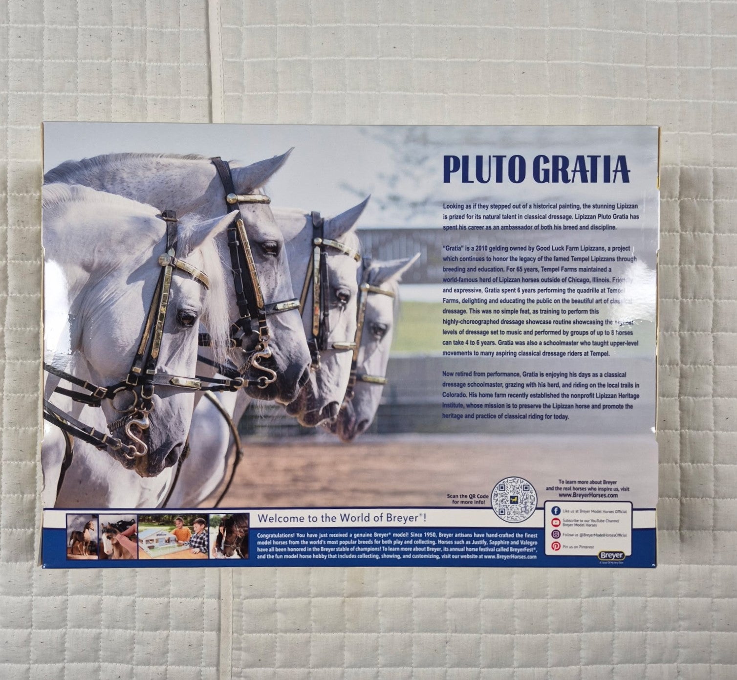 Pluto Gratia