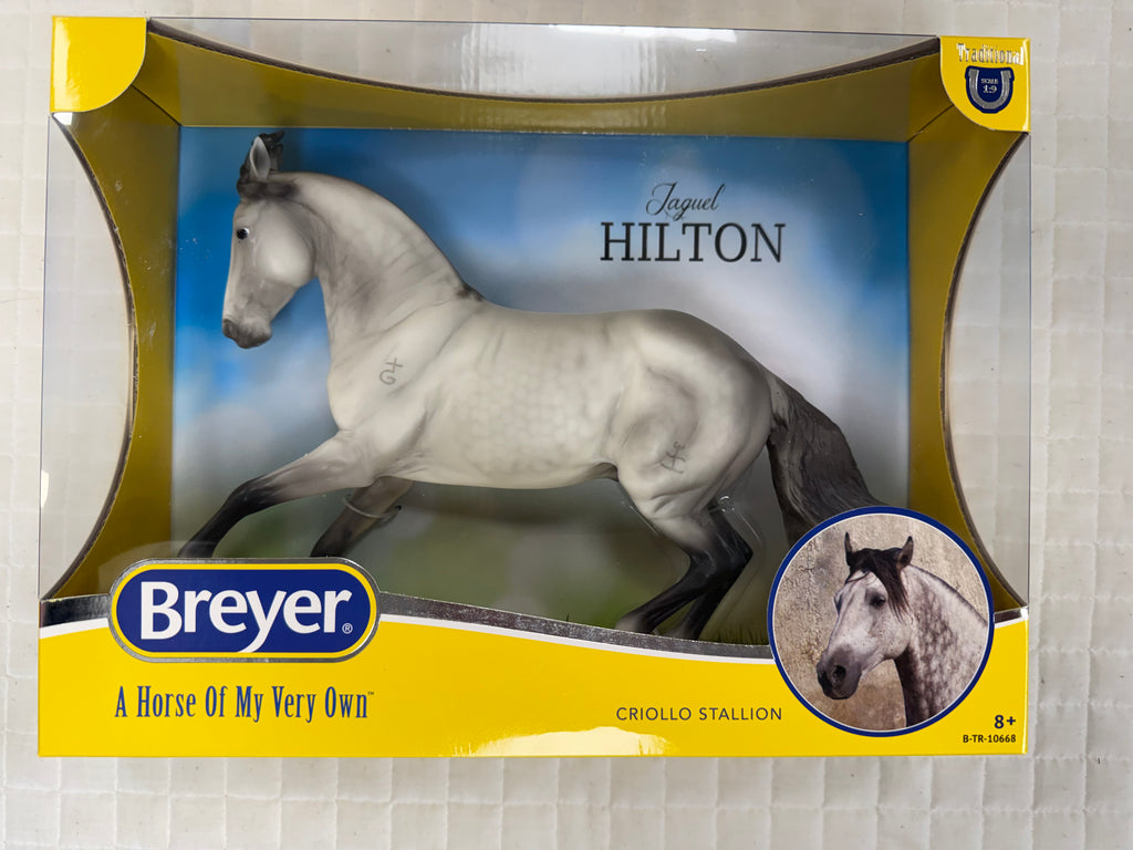 Jaguel Hilton Criollo Stallion