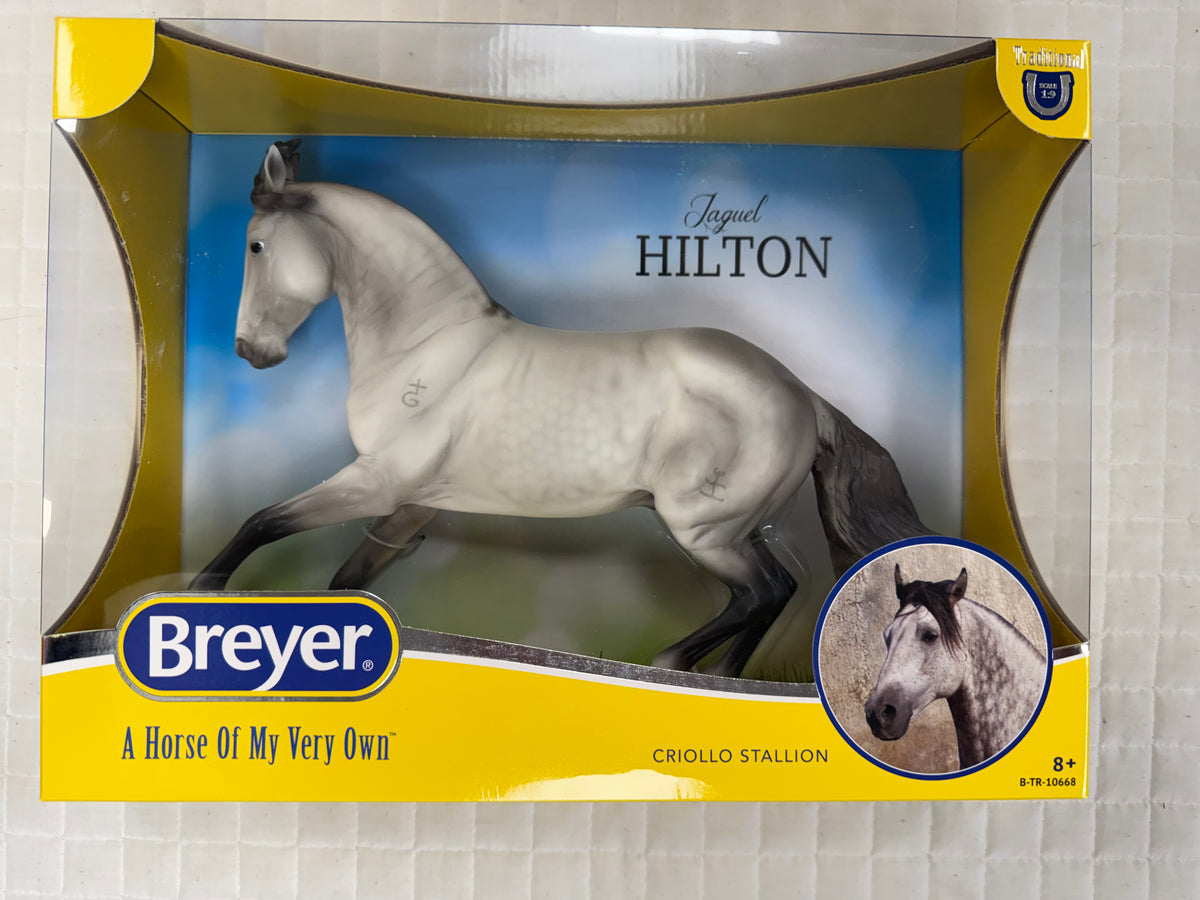 Jaguel Hilton Criollo Stallion