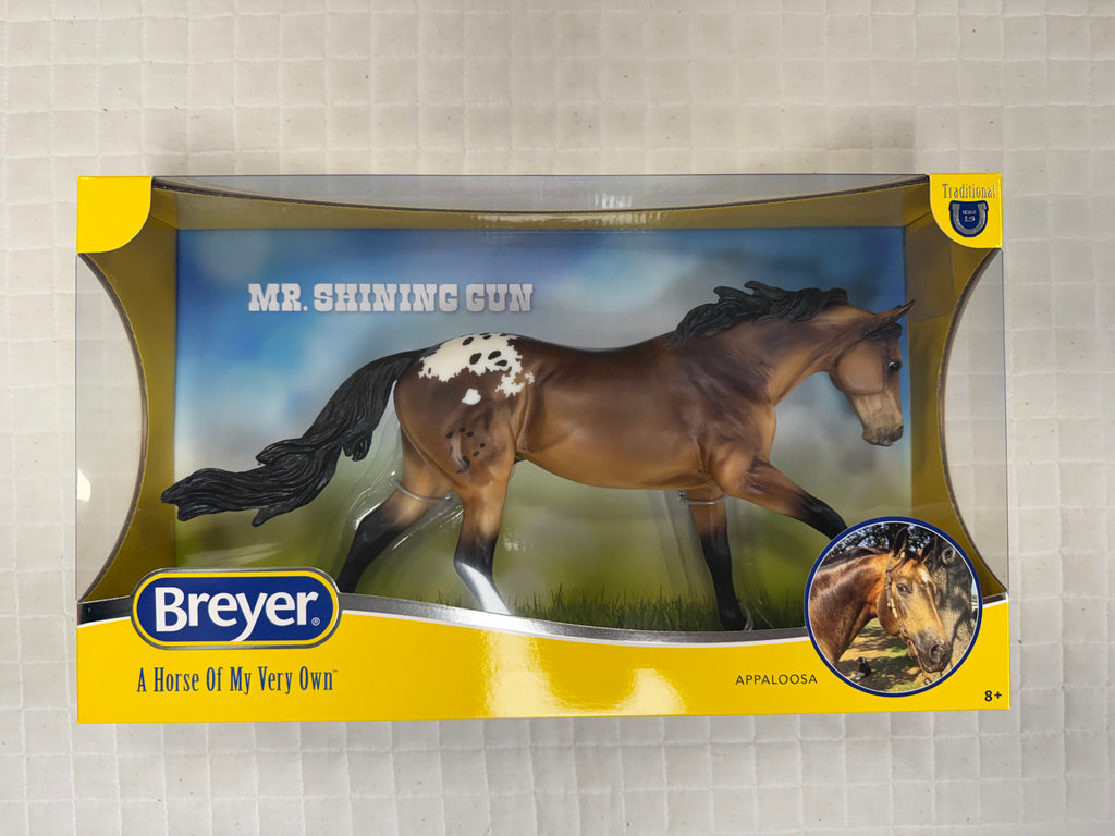 Mr. Shining Gun Appaloosa