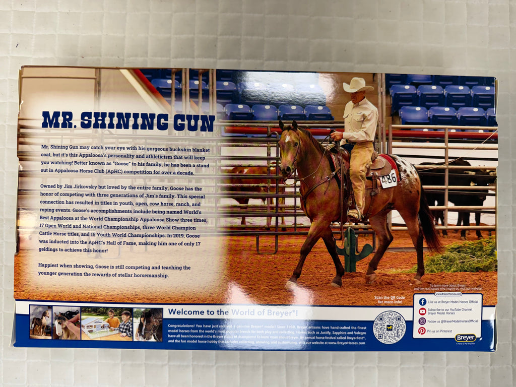 Mr. Shining Gun Appaloosa