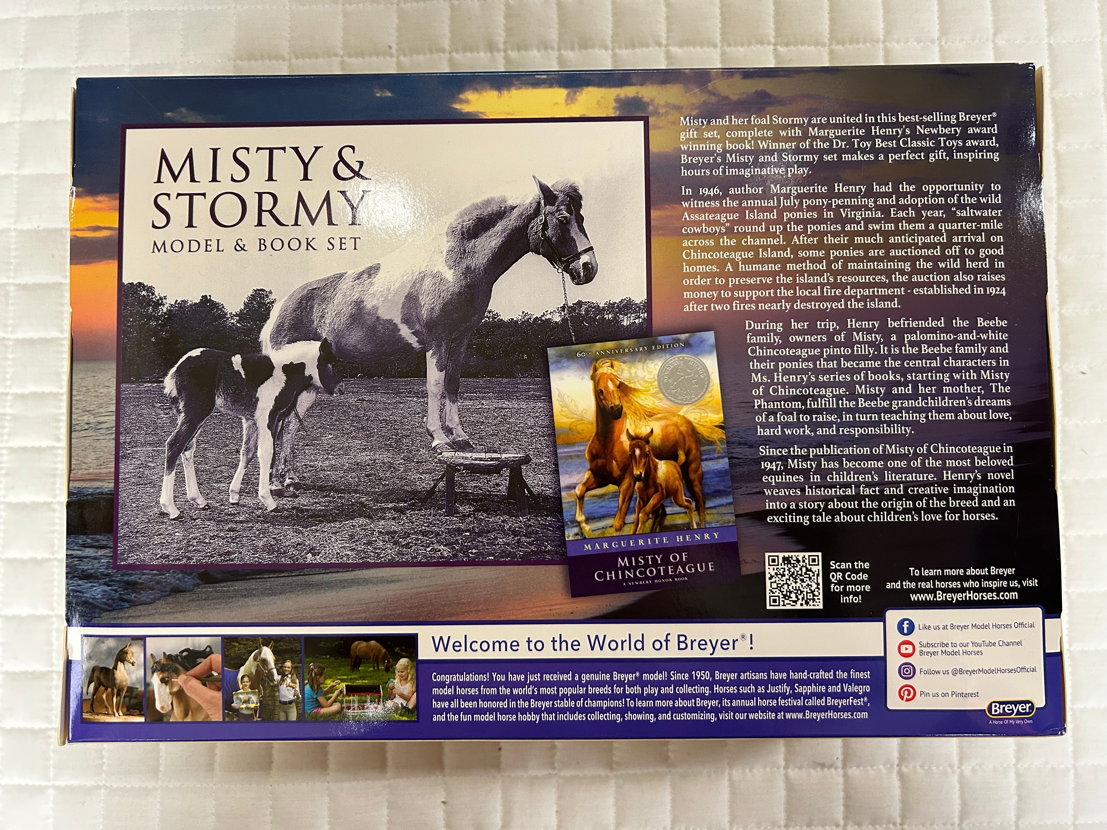 Misty and Stormy w Reading Book