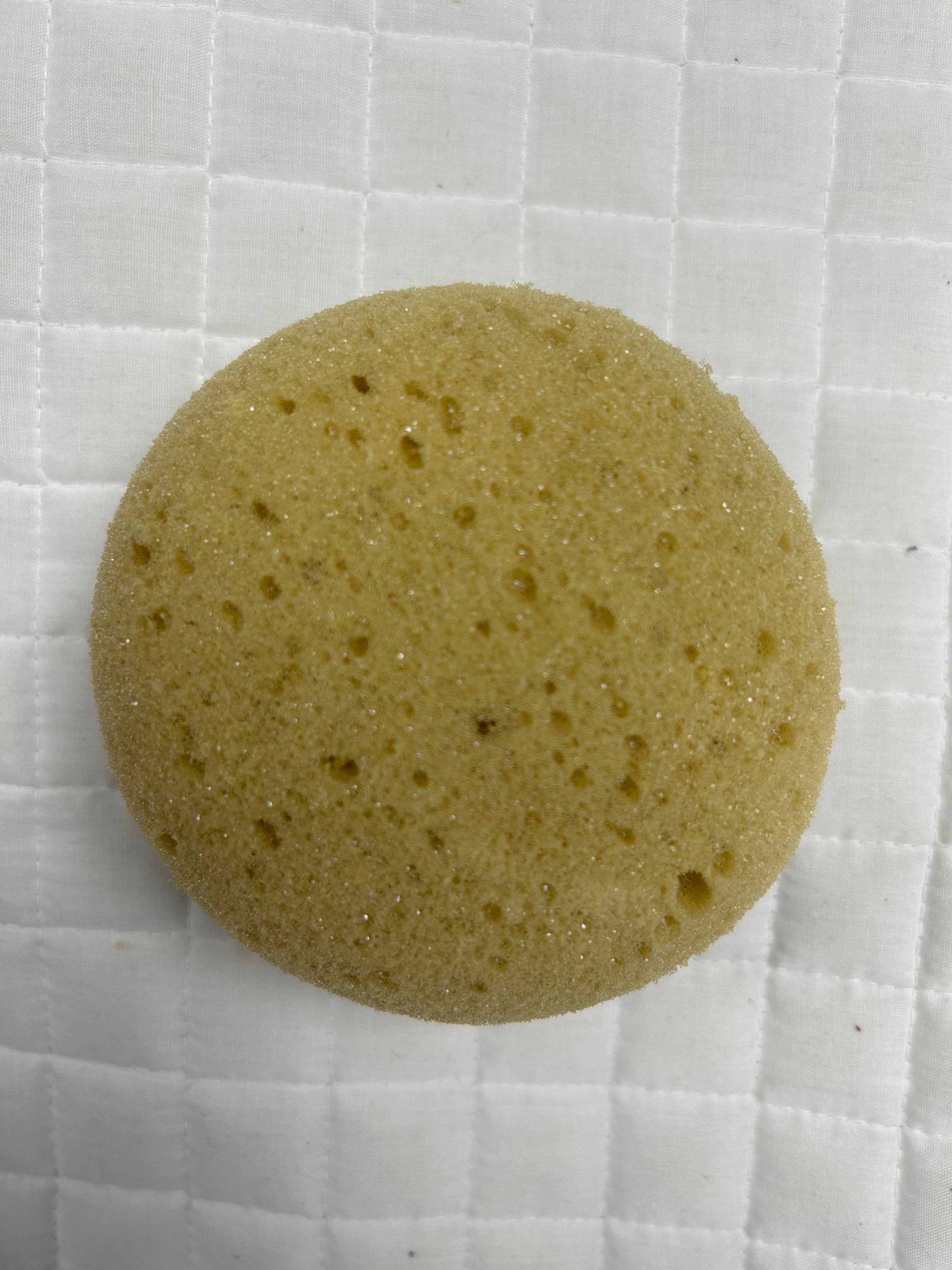 Synthetic Round Tack Sponge
