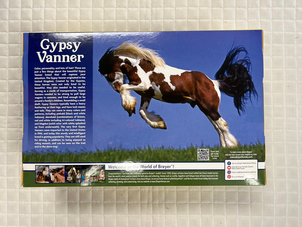 Gypsy Vanner