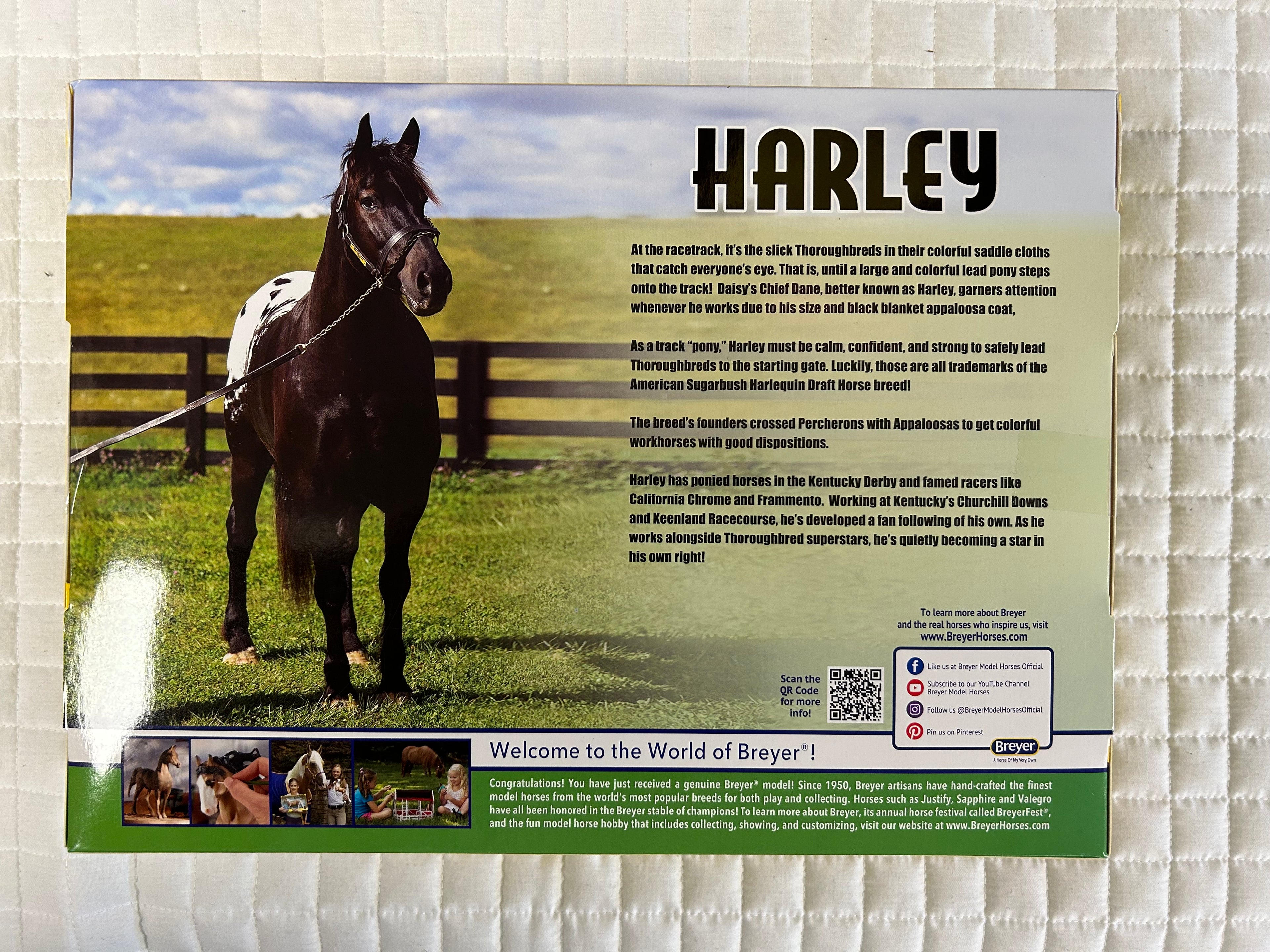 Harley