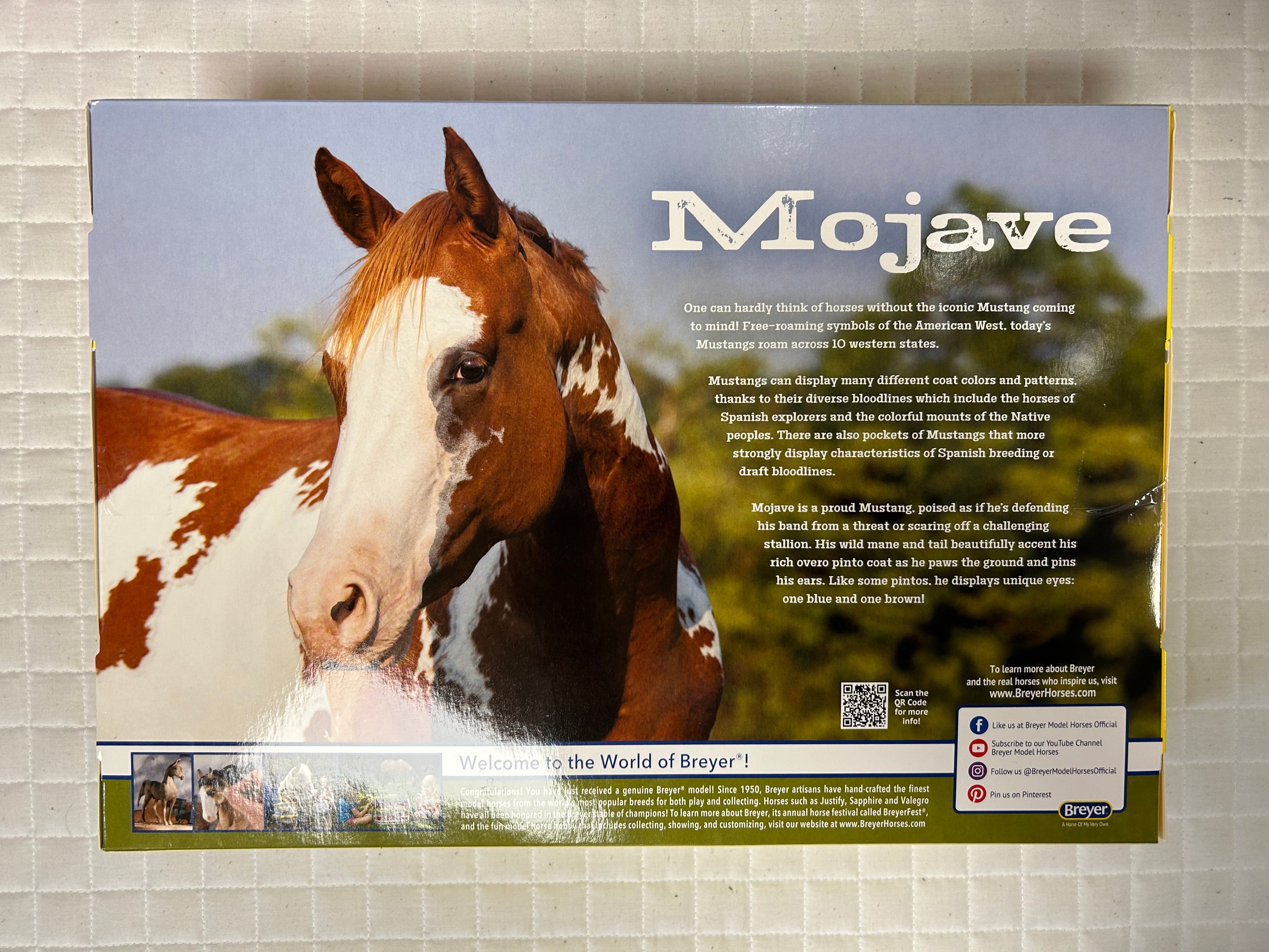 Mojave