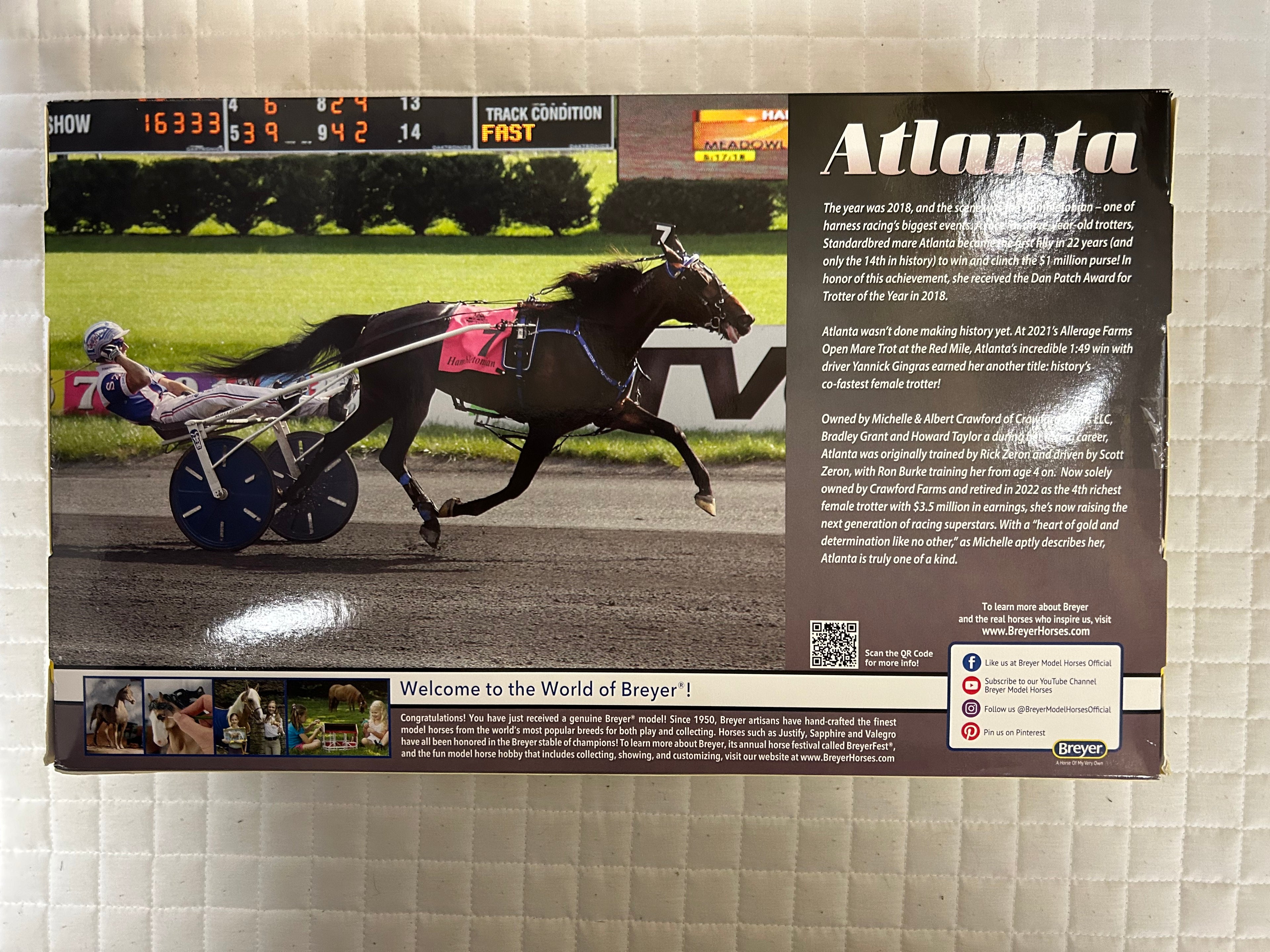Atlanta Standardbred Trotter