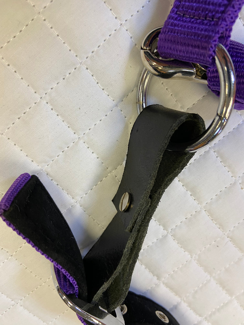 Centaur Cushioned Breakaway Halter