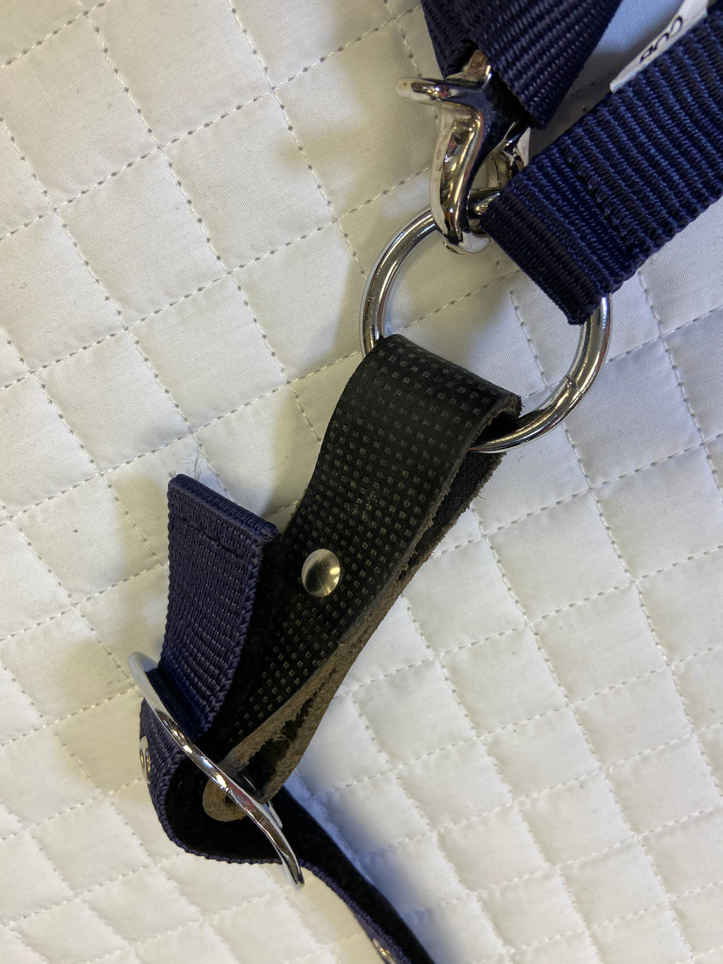 Centaur Cushioned Breakaway Halter