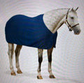 Centaur Turbo-Dry Cooler Dress Sheet