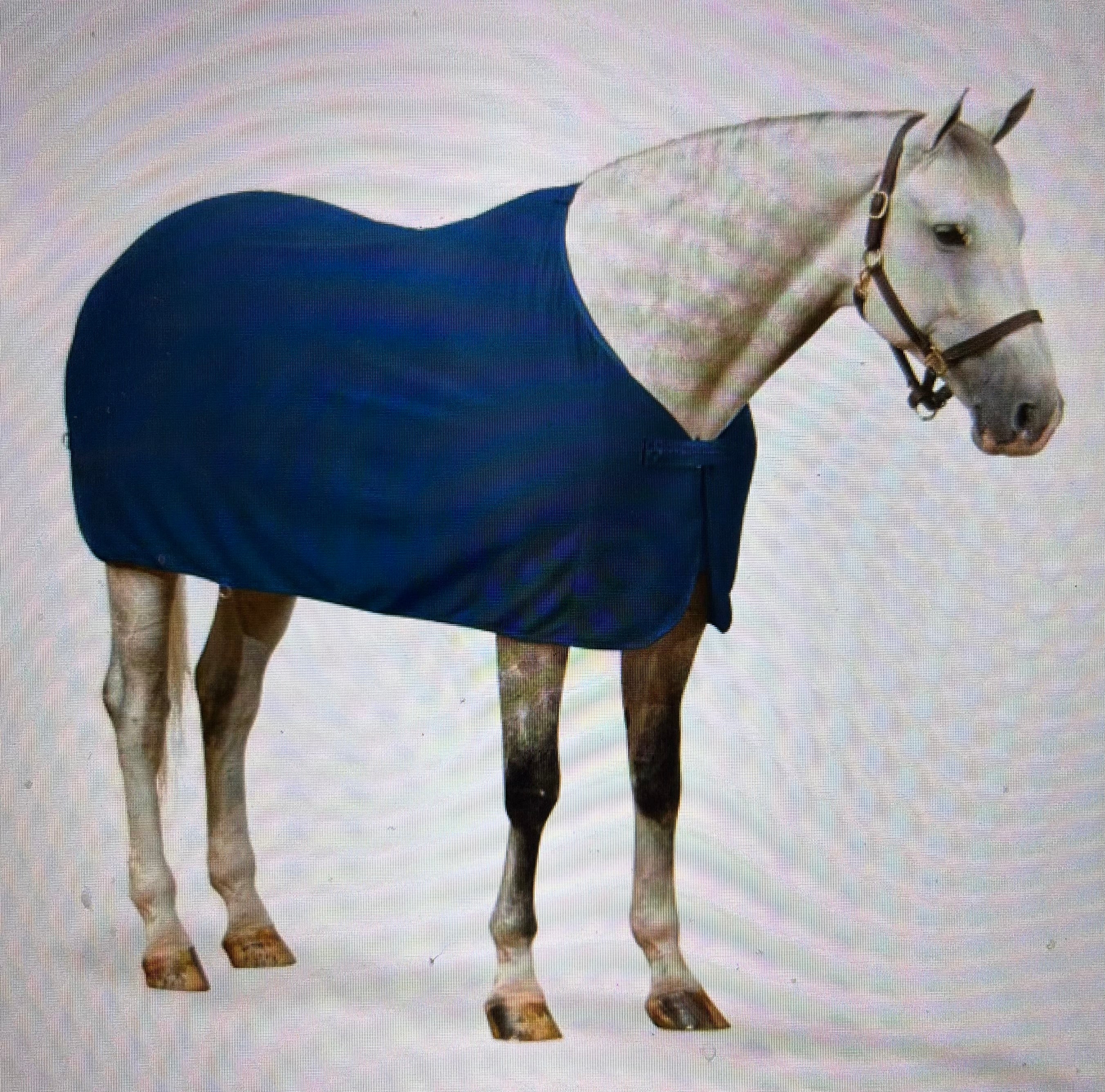 Centaur Turbo-Dry Cooler Dress Sheet