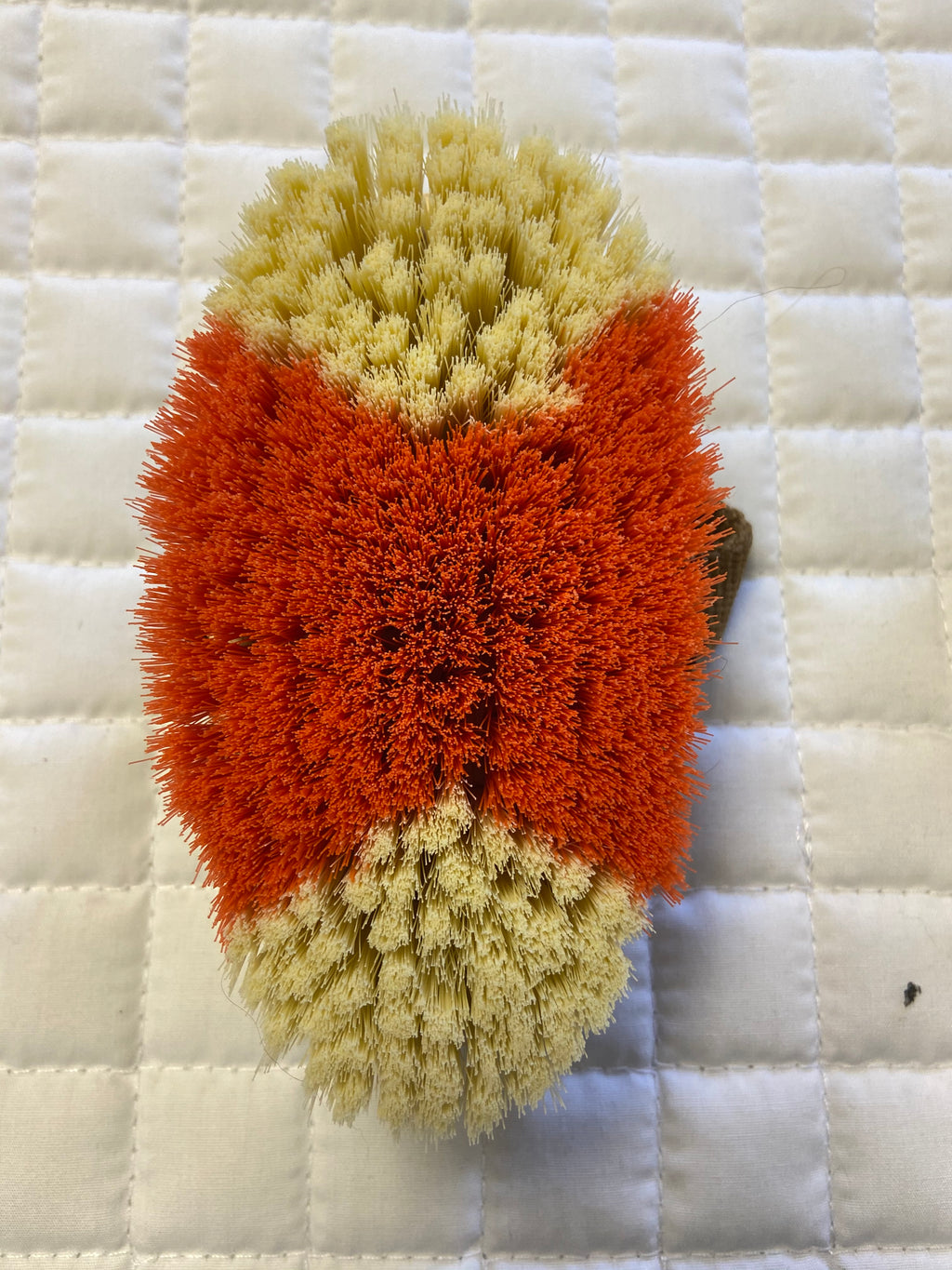 Mini Oval Brush 4.5"