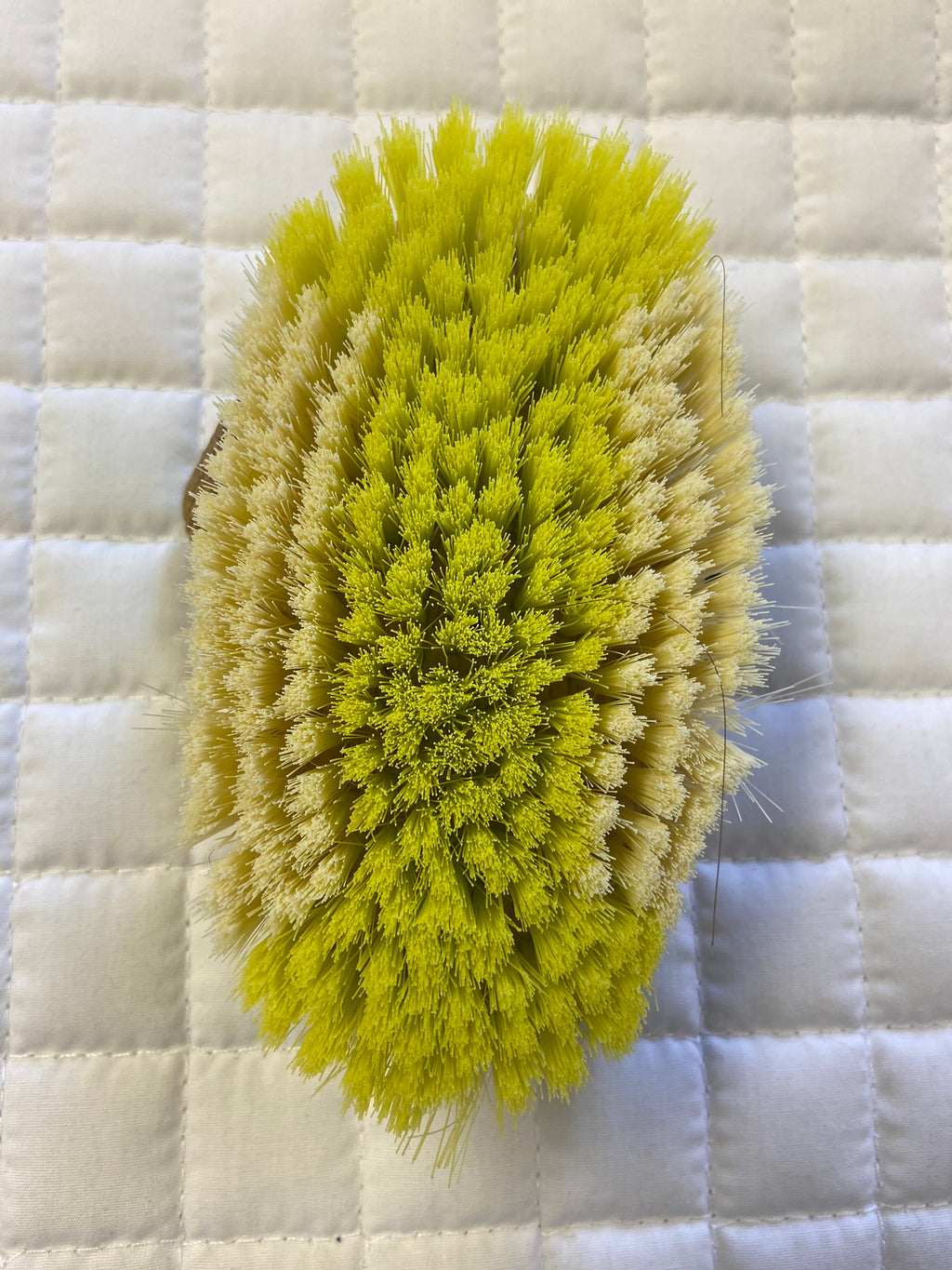 Mini Oval Brush 4.5"