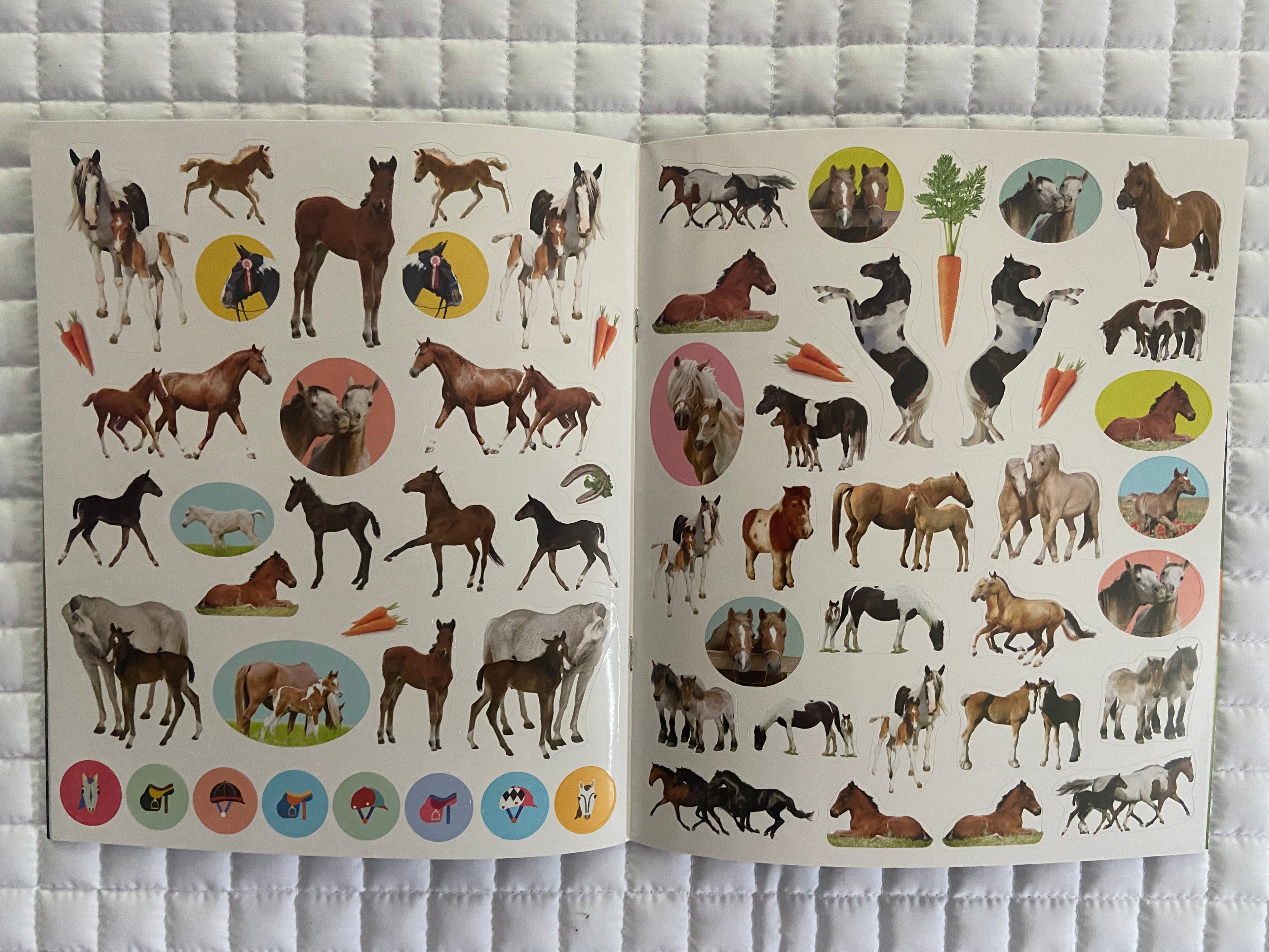 Eyelike Horses Sticker Book