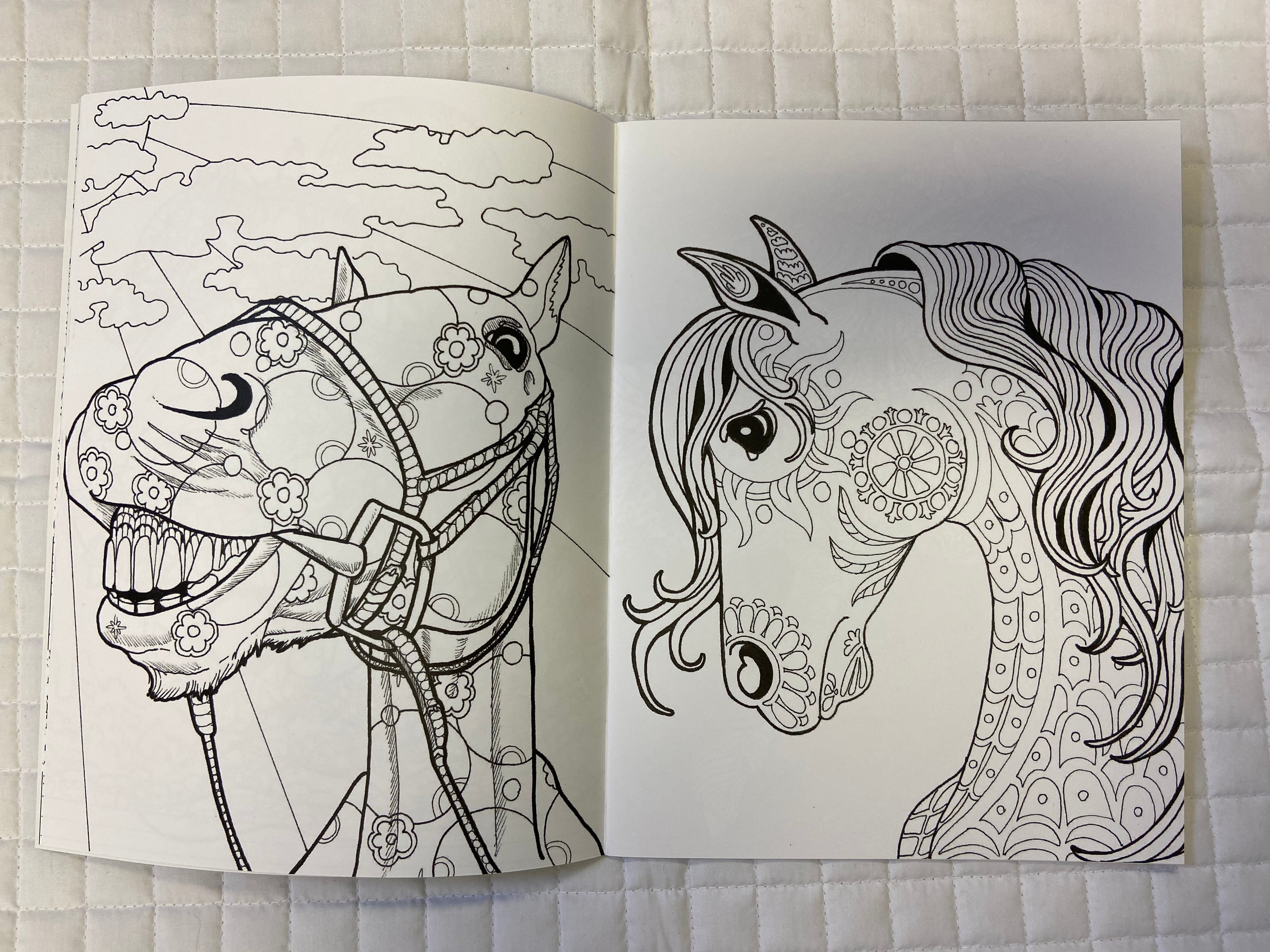 Color Me Splashy Adult Coloring Book