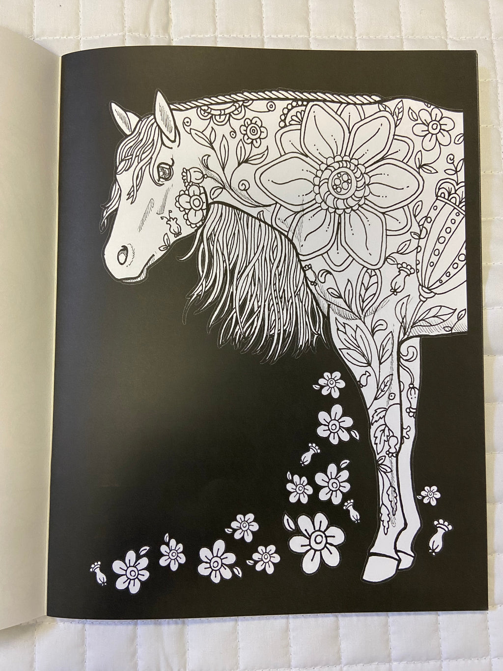 Eat Sleep Horses Adult Coloring Book