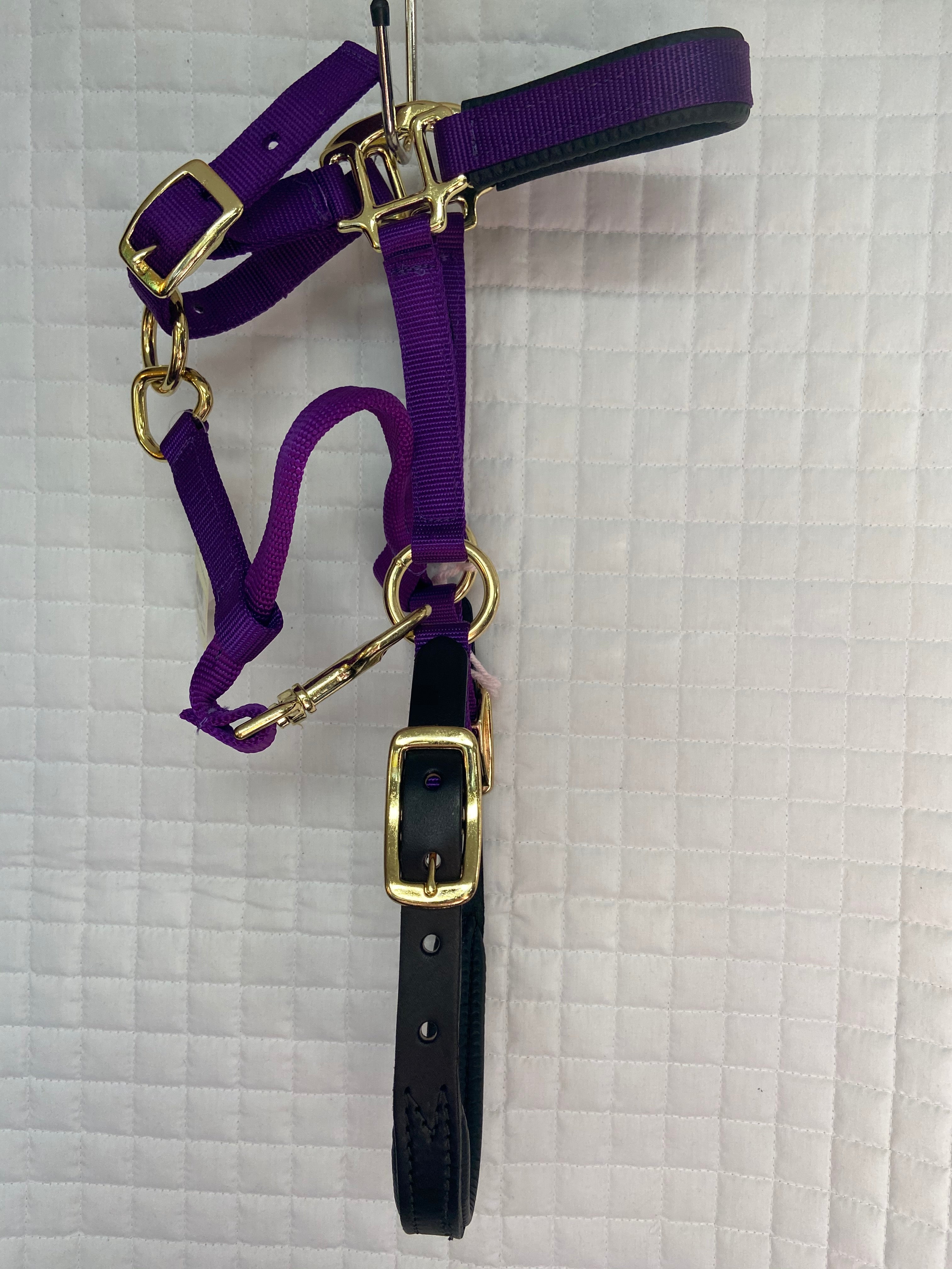 Chafeless Breakaway Halter Padded Crown