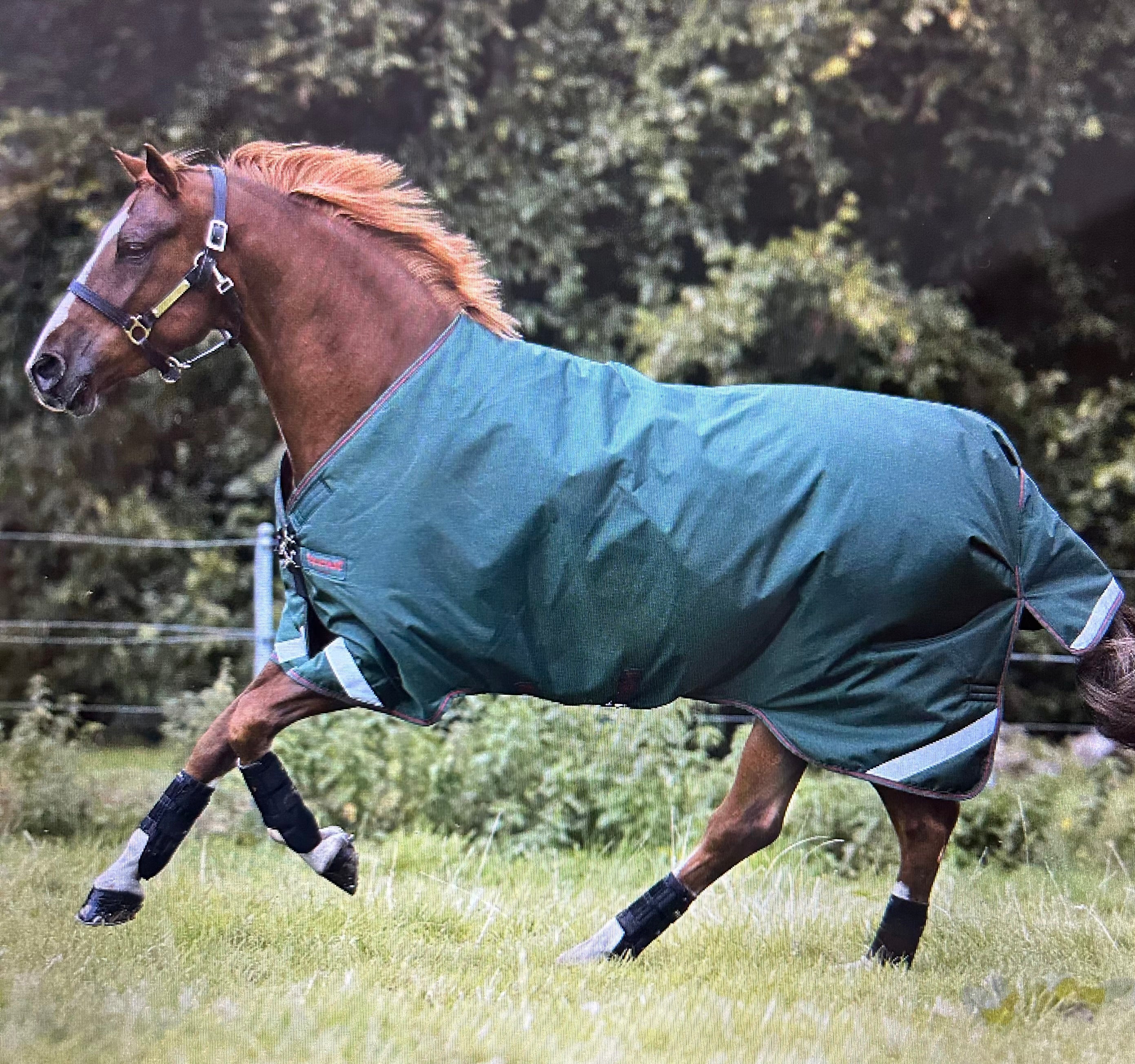 *SALE* Rambo Turn Out 100 Gram w Leg Arches