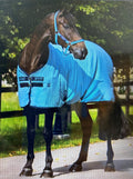 *SALE* Amigo Stable Sheet