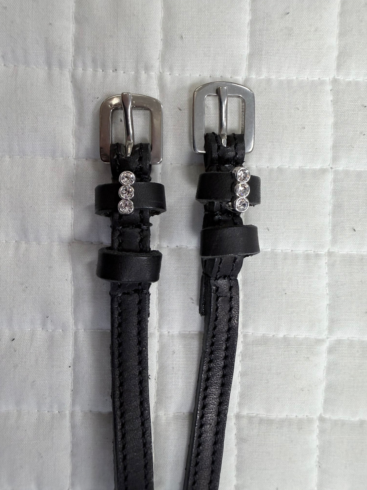 Mary Jane Spur Straps Group 6