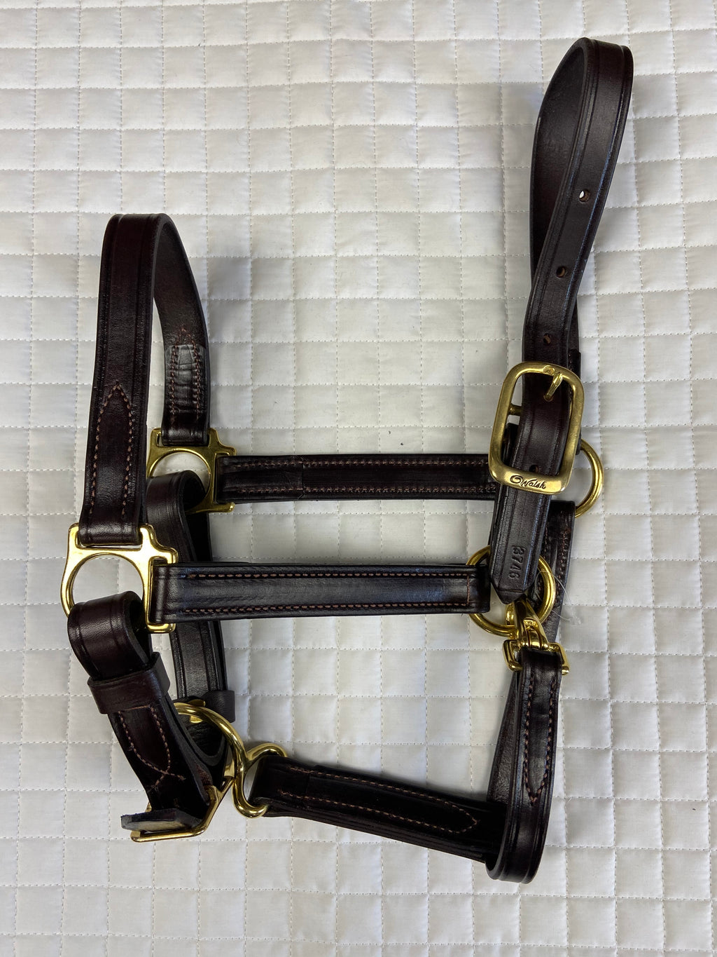 Walsh Classic Leather Halter