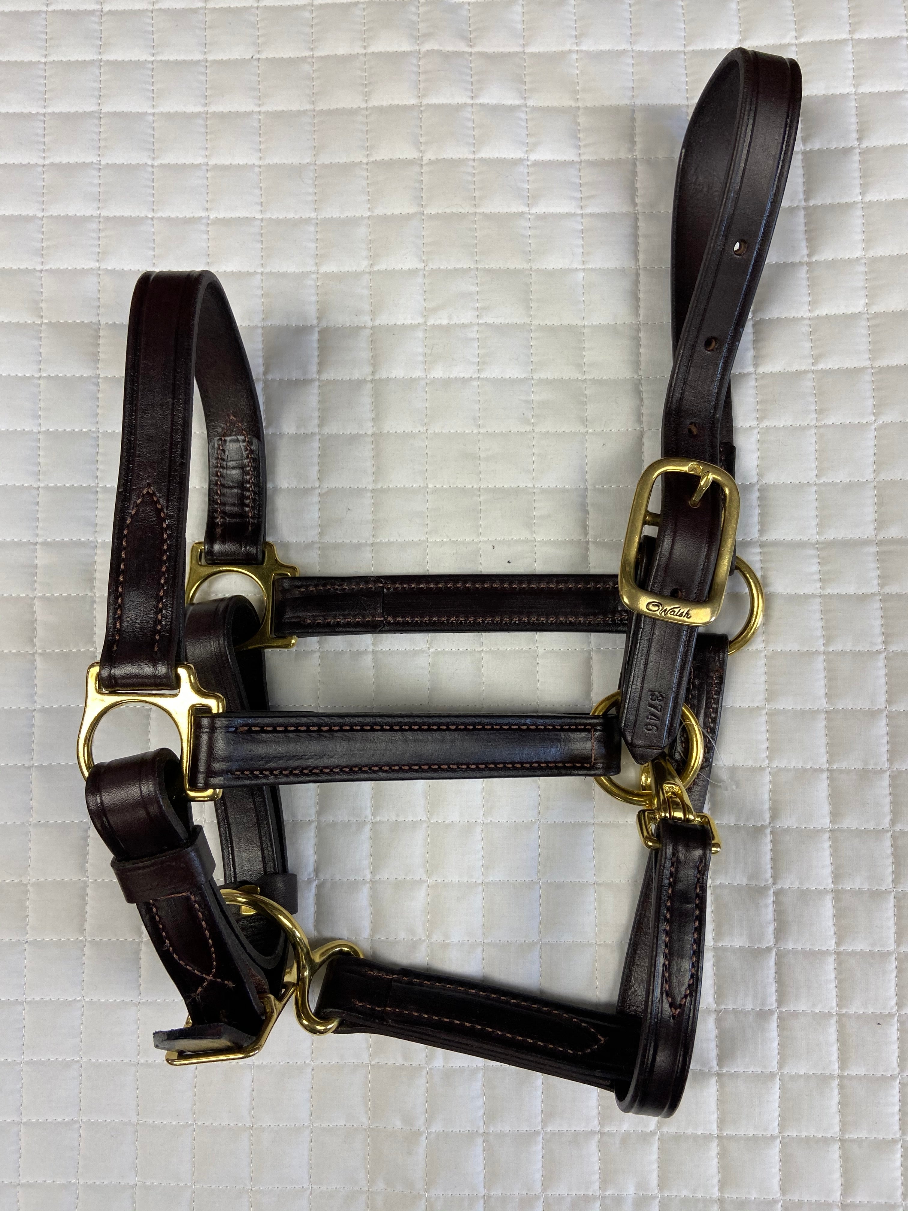 Walsh Classic Leather Halter