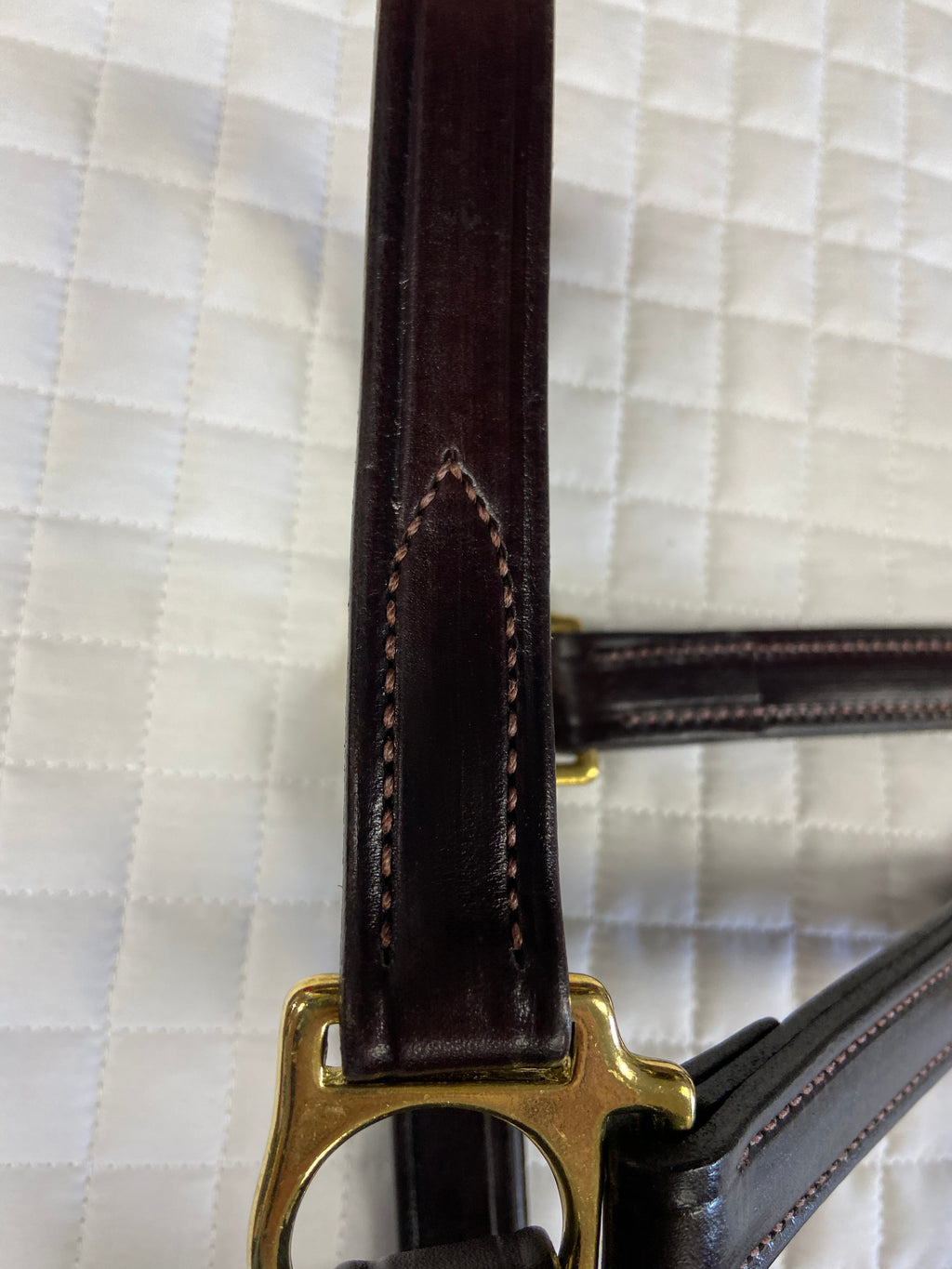 Walsh Classic Leather Halter