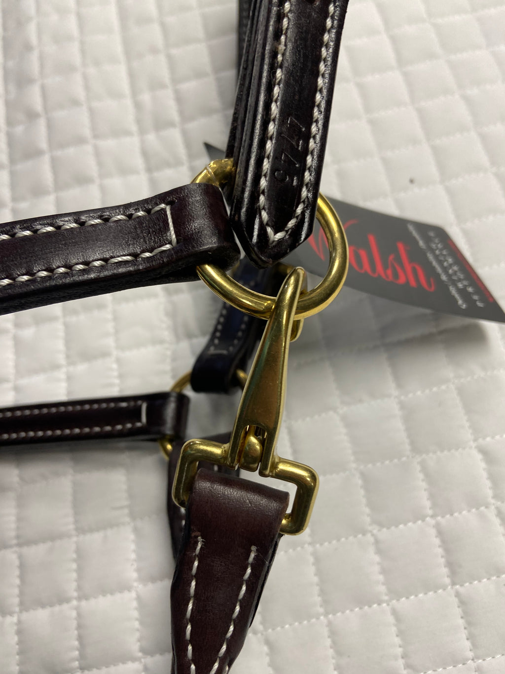 Walsh Showman Leather Halter