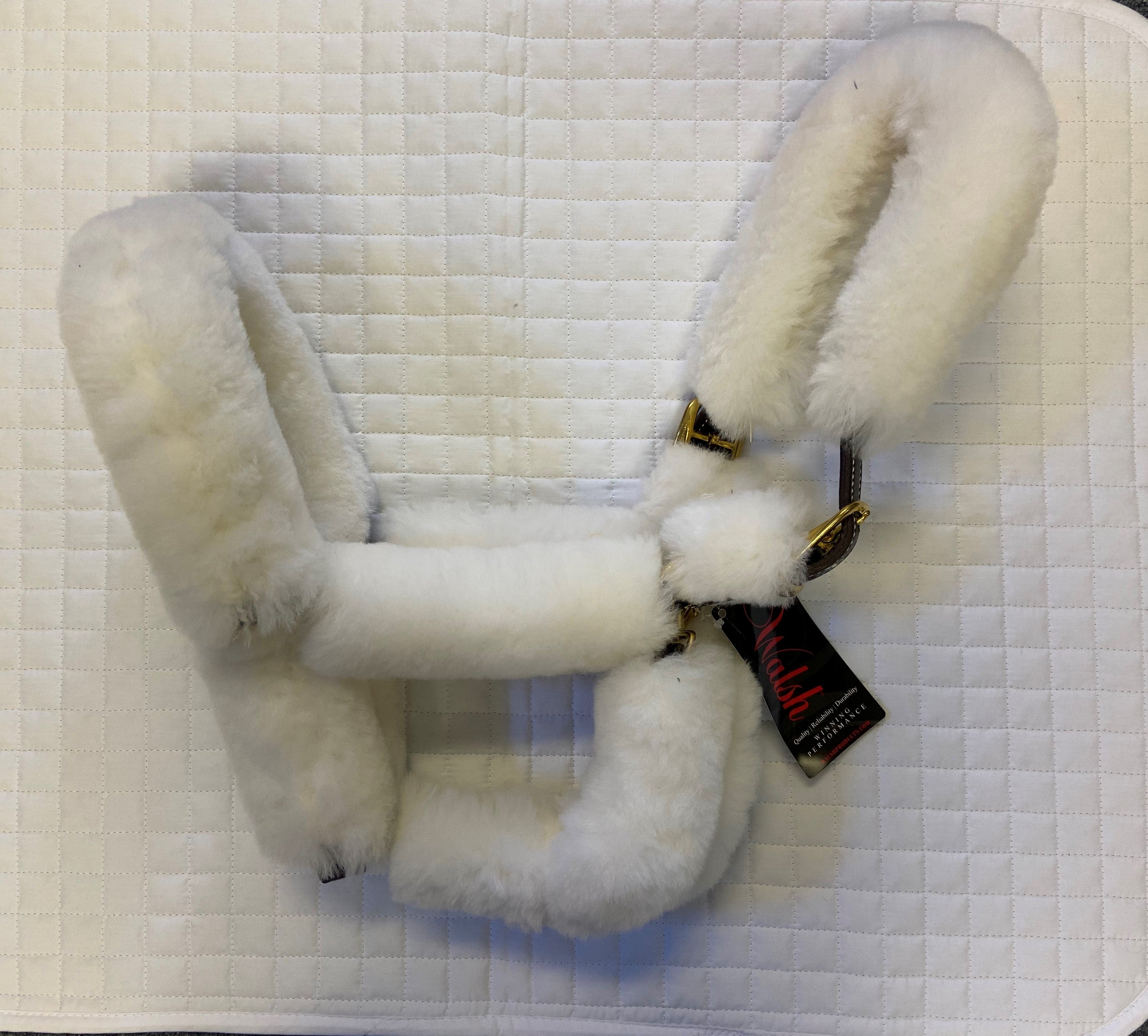 Walsh Shipping Halter