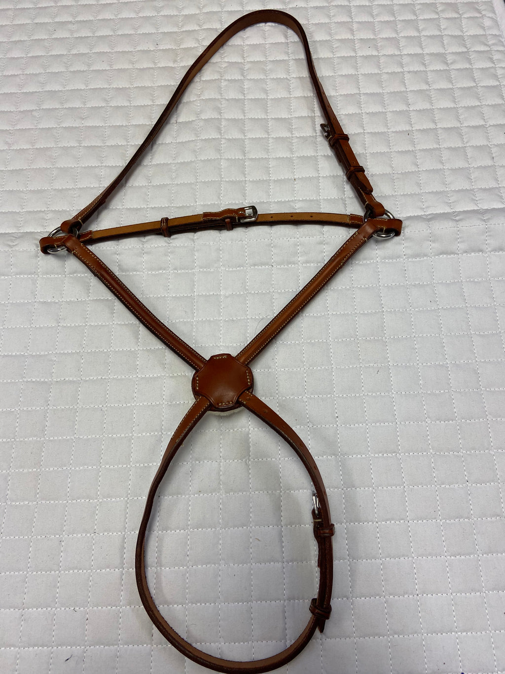 Edgewood Raised Figure 8