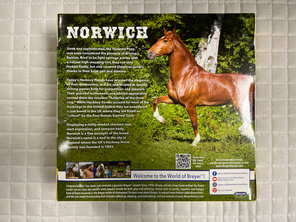 Norwich Hackney Pony