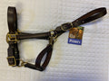Deluxe 1" Economy Leather Halter