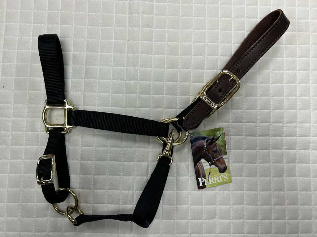 Breakaway Nylon Halter Solid Colors