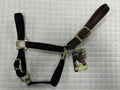 Breakaway Nylon Halter Solid Colors