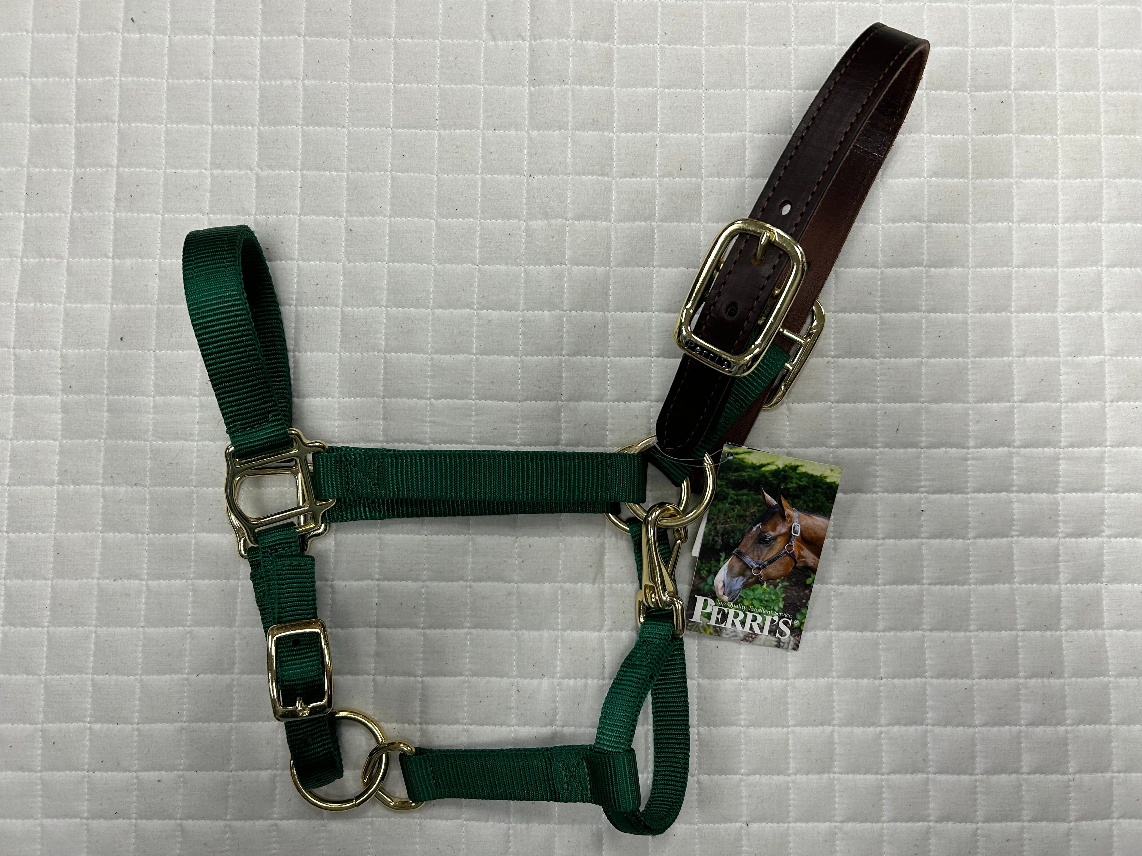 Breakaway Nylon Halter Solid Colors