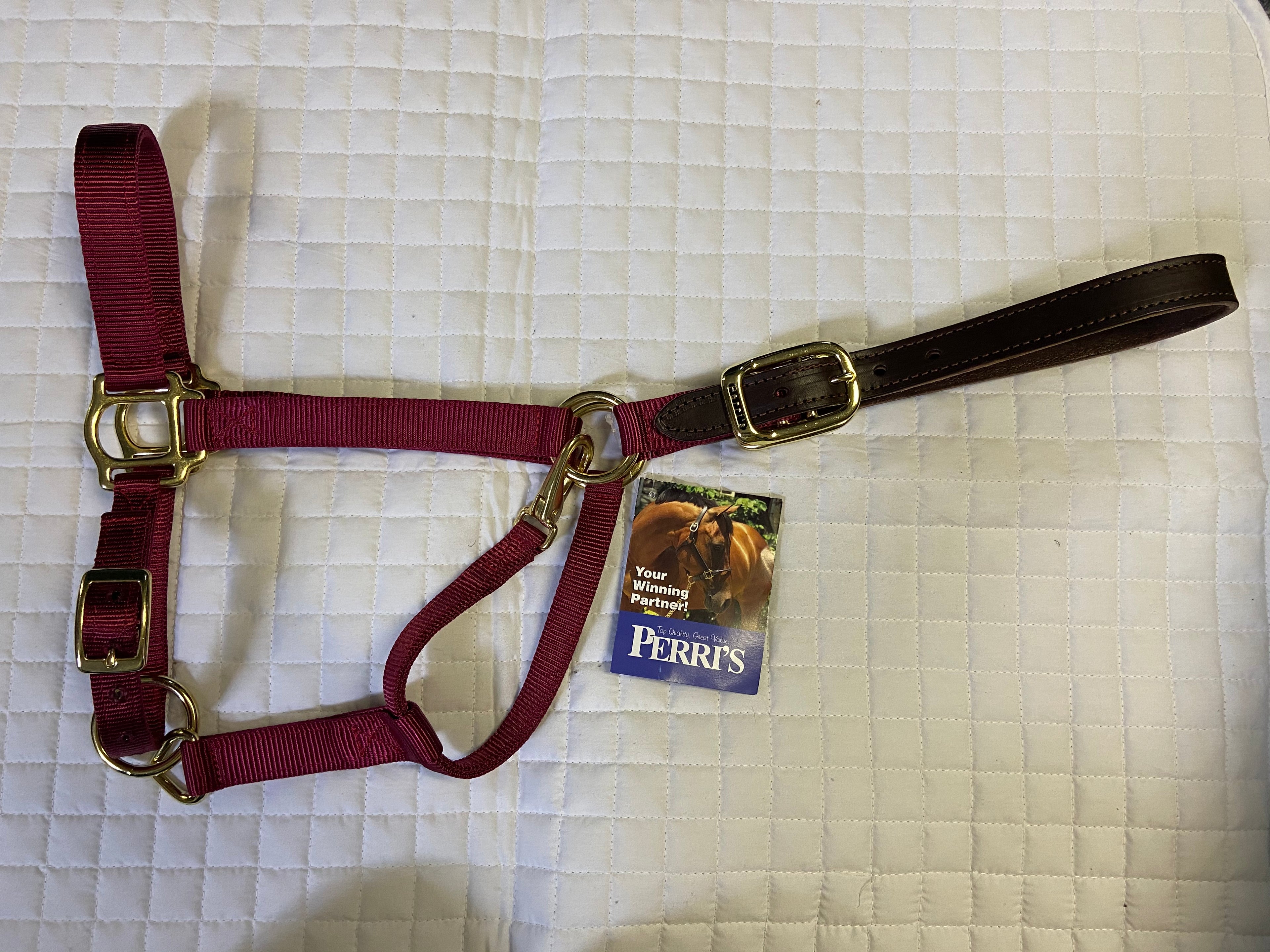 Breakaway Nylon Halter Solid Colors