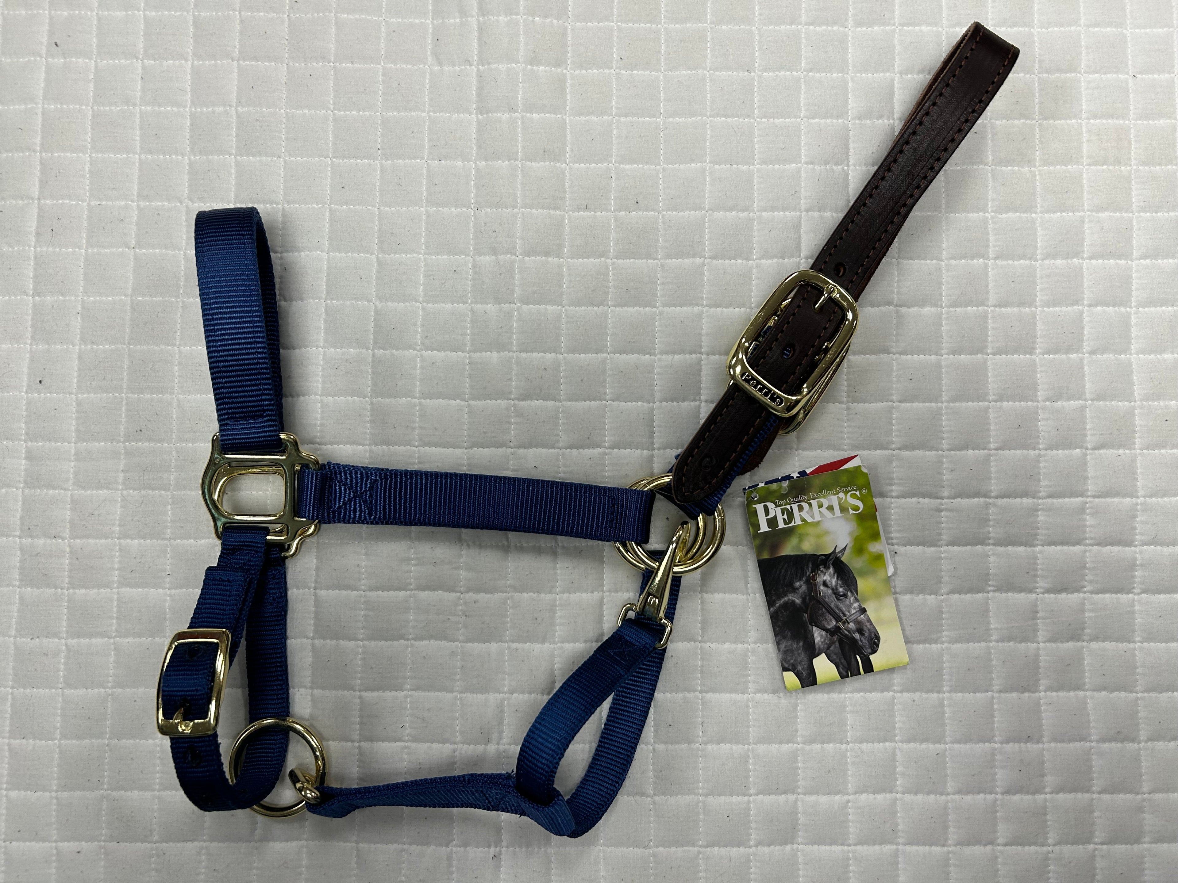 Breakaway Nylon Halter Solid Colors