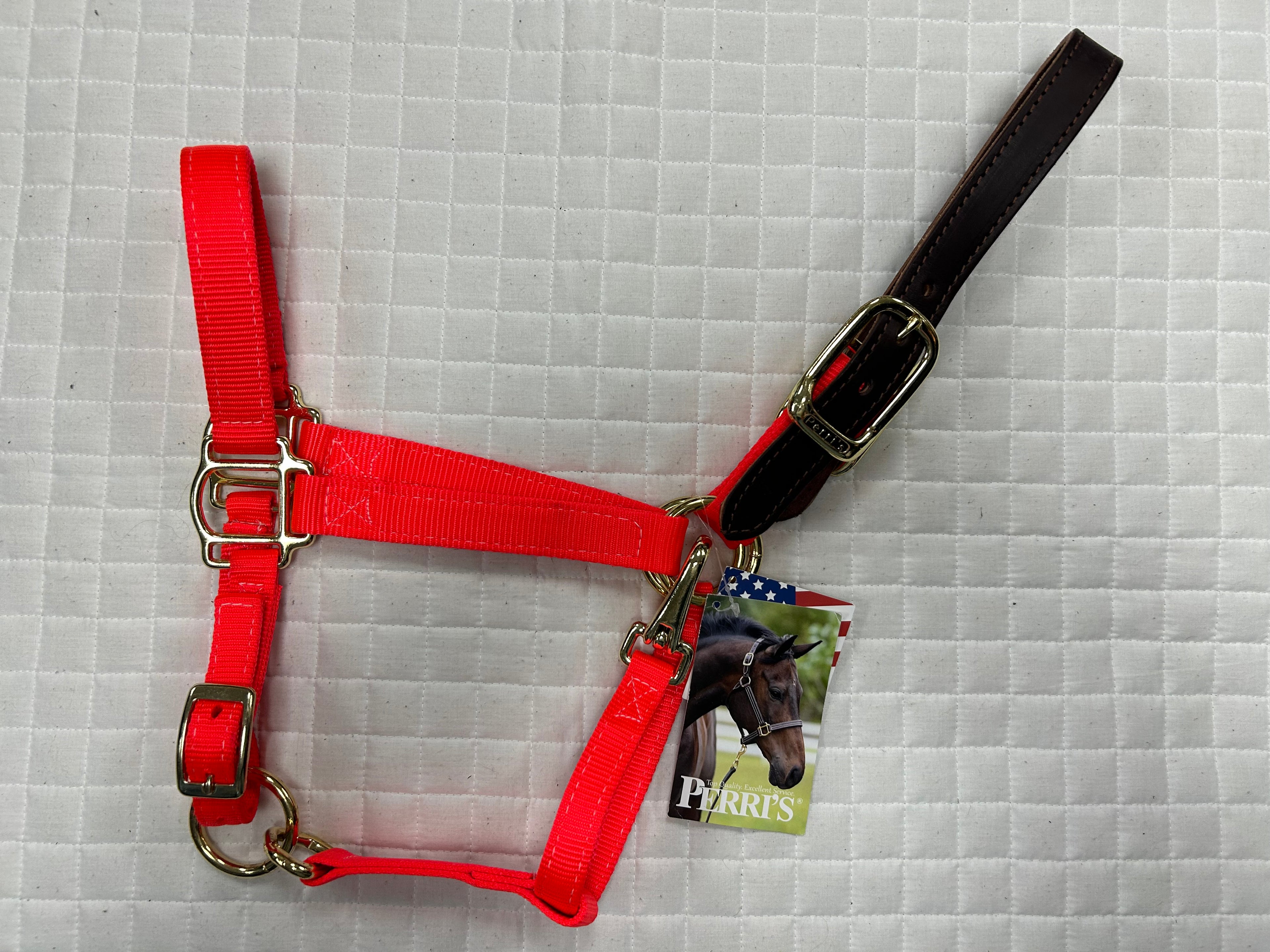 Breakaway Nylon Halter Solid Colors