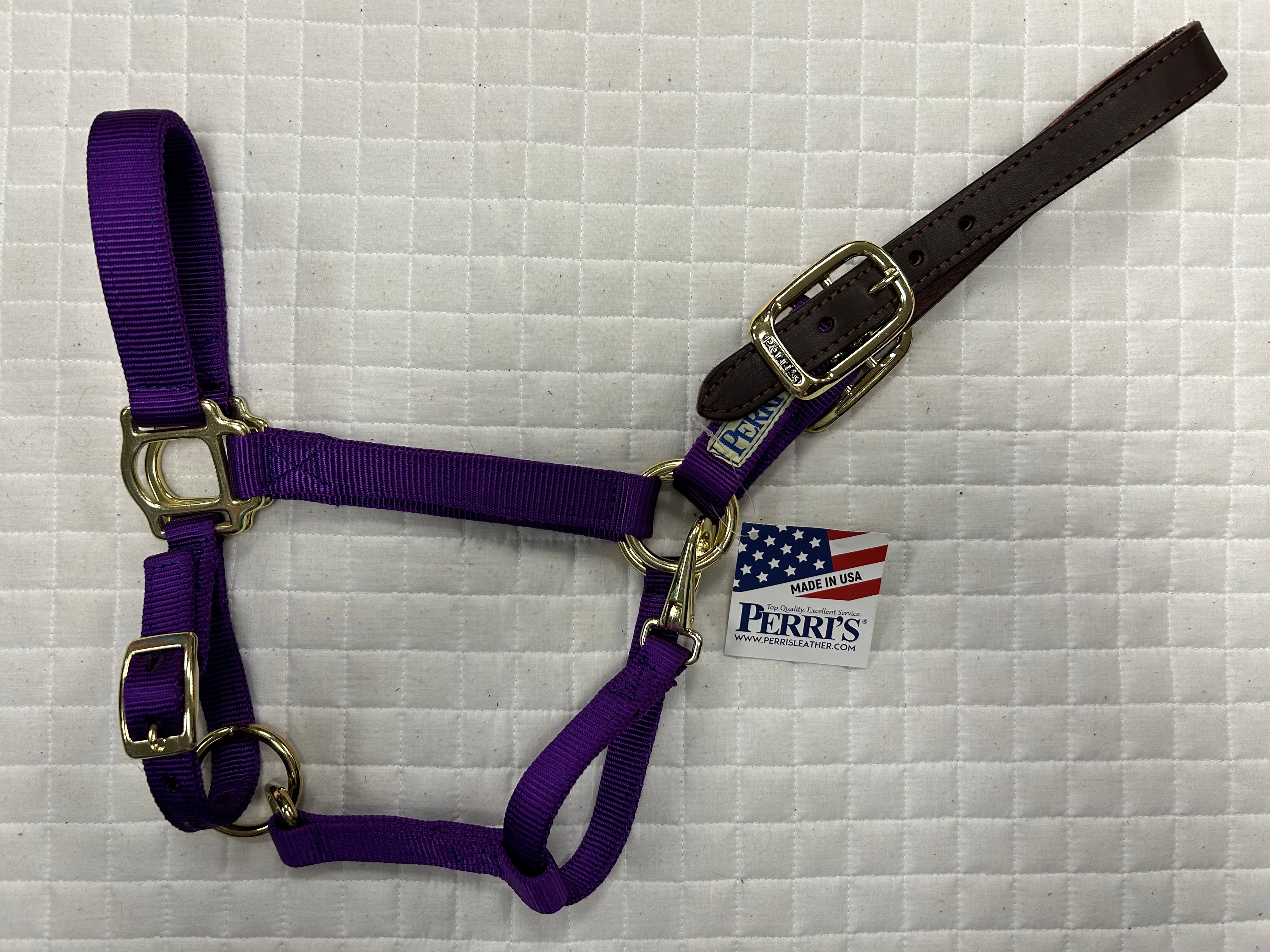 Breakaway Nylon Halter Solid Colors