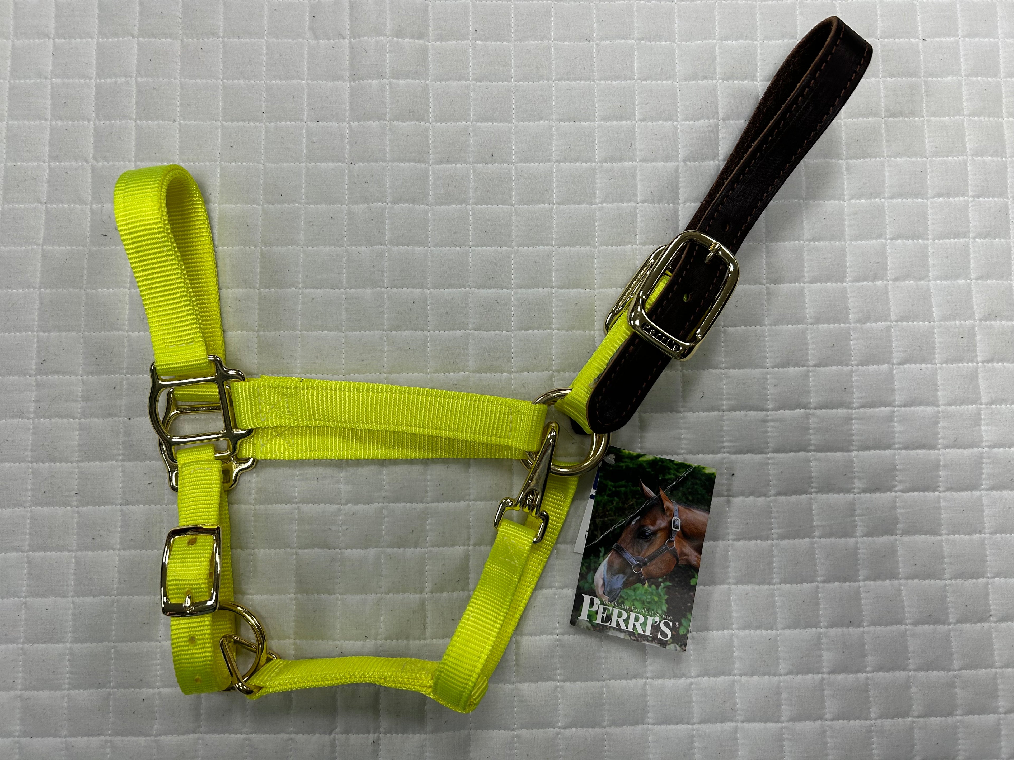 Breakaway Nylon Halter Solid Colors