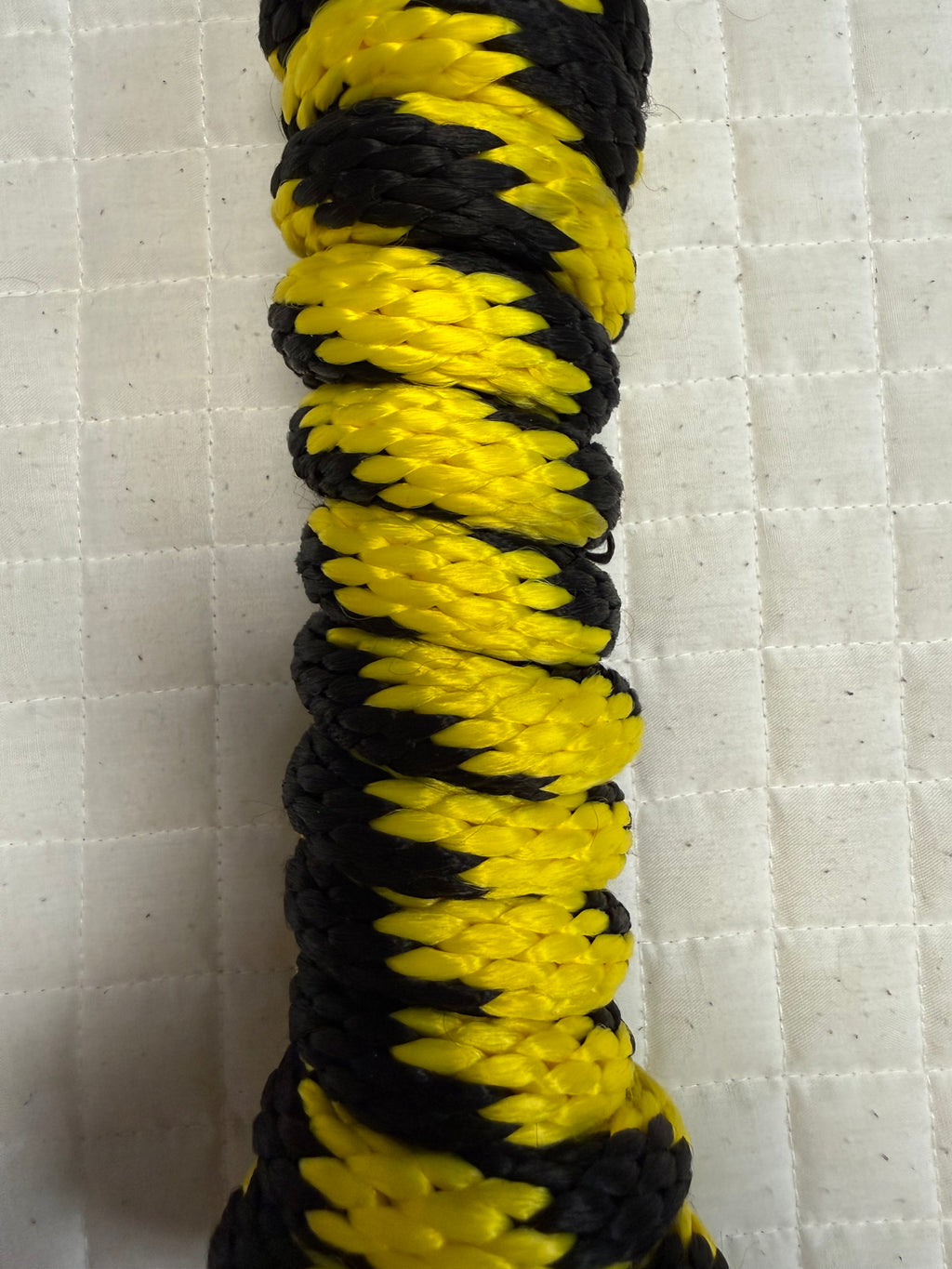 Poly Nylon Lead Ropes Striped