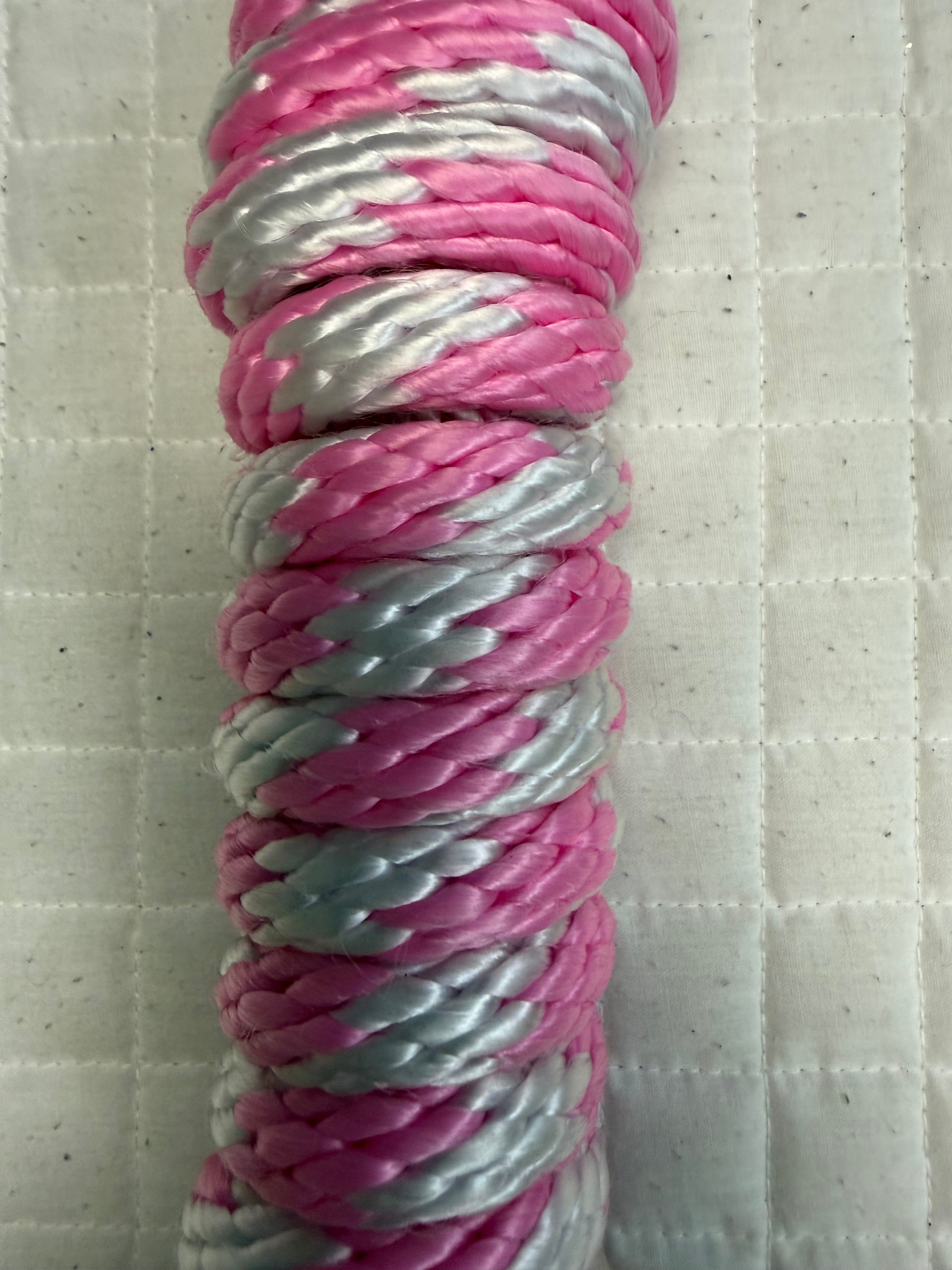 Poly Nylon Lead Ropes Striped