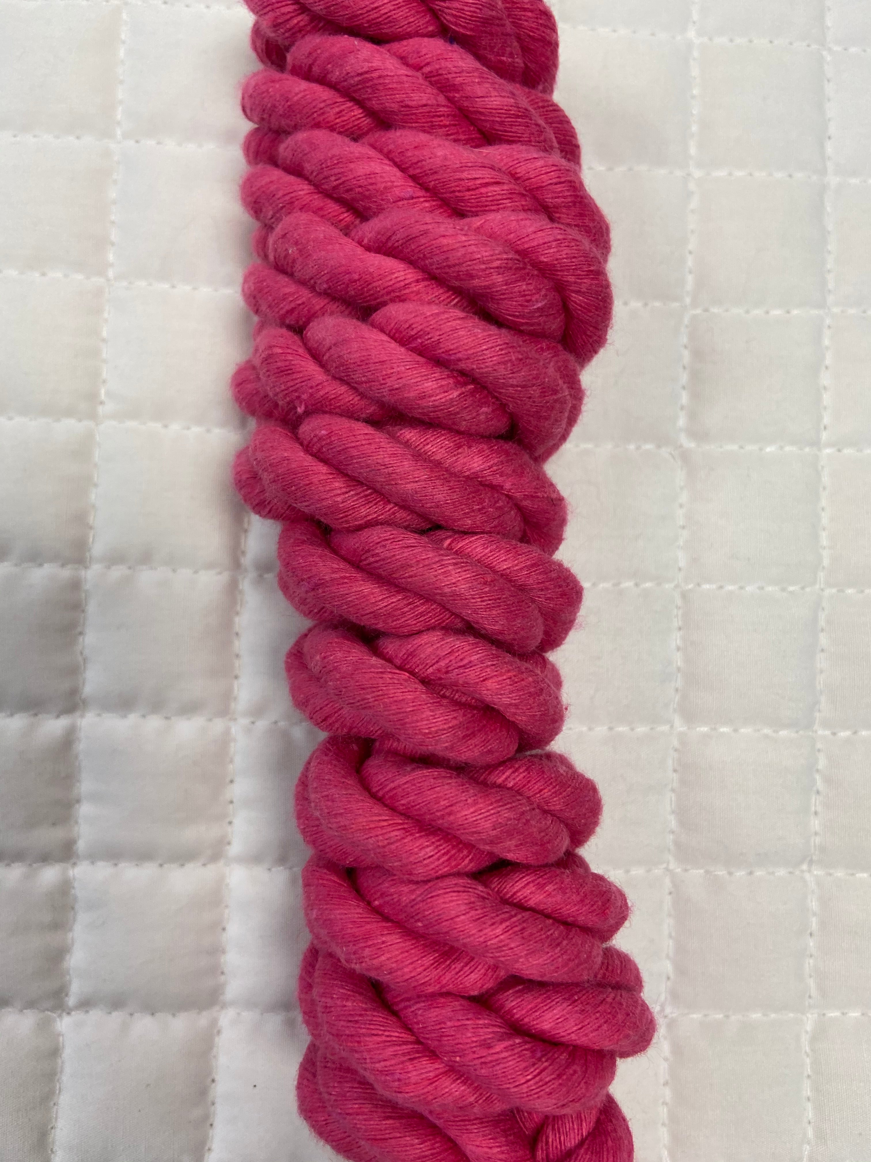 Cotton Lead Rope Solid Color W Chain