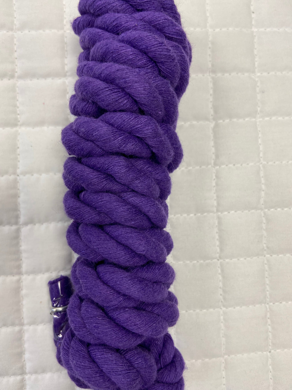 Cotton Lead Rope Solid Color W Chain